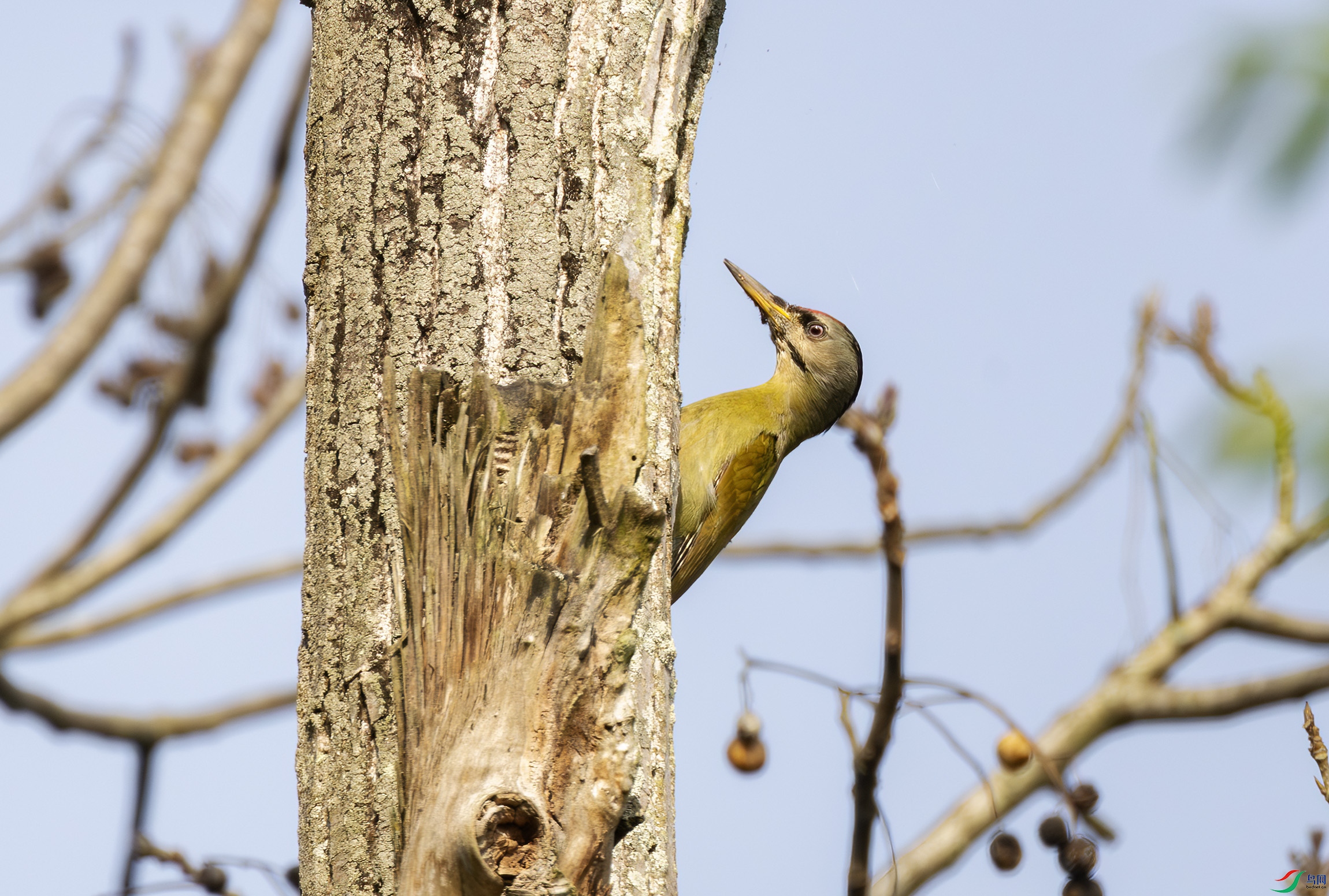 2I1A8443-����ǿ-NR ����.jpg