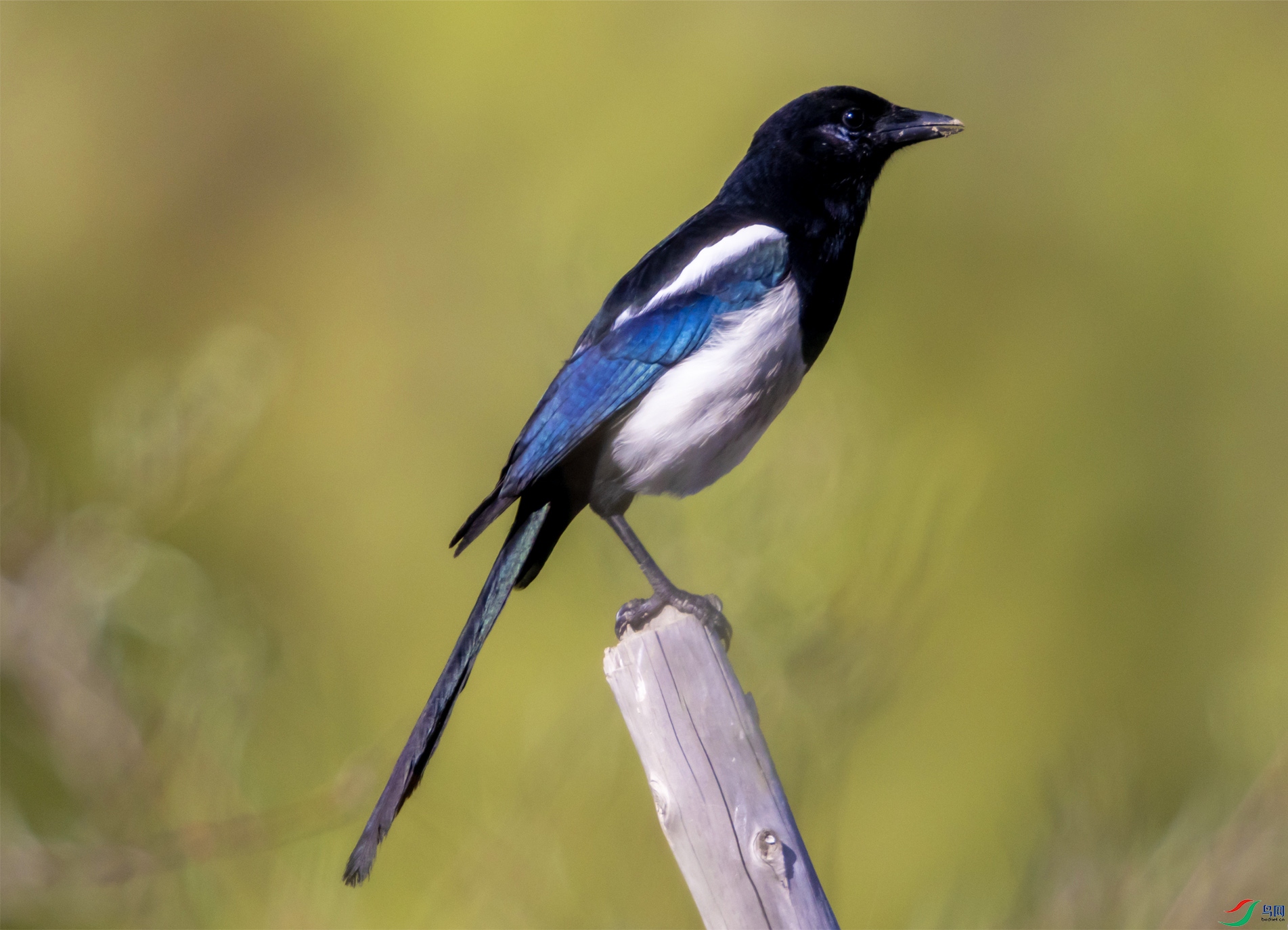 4K2A7494 ŷ��ϲȵ.jpg