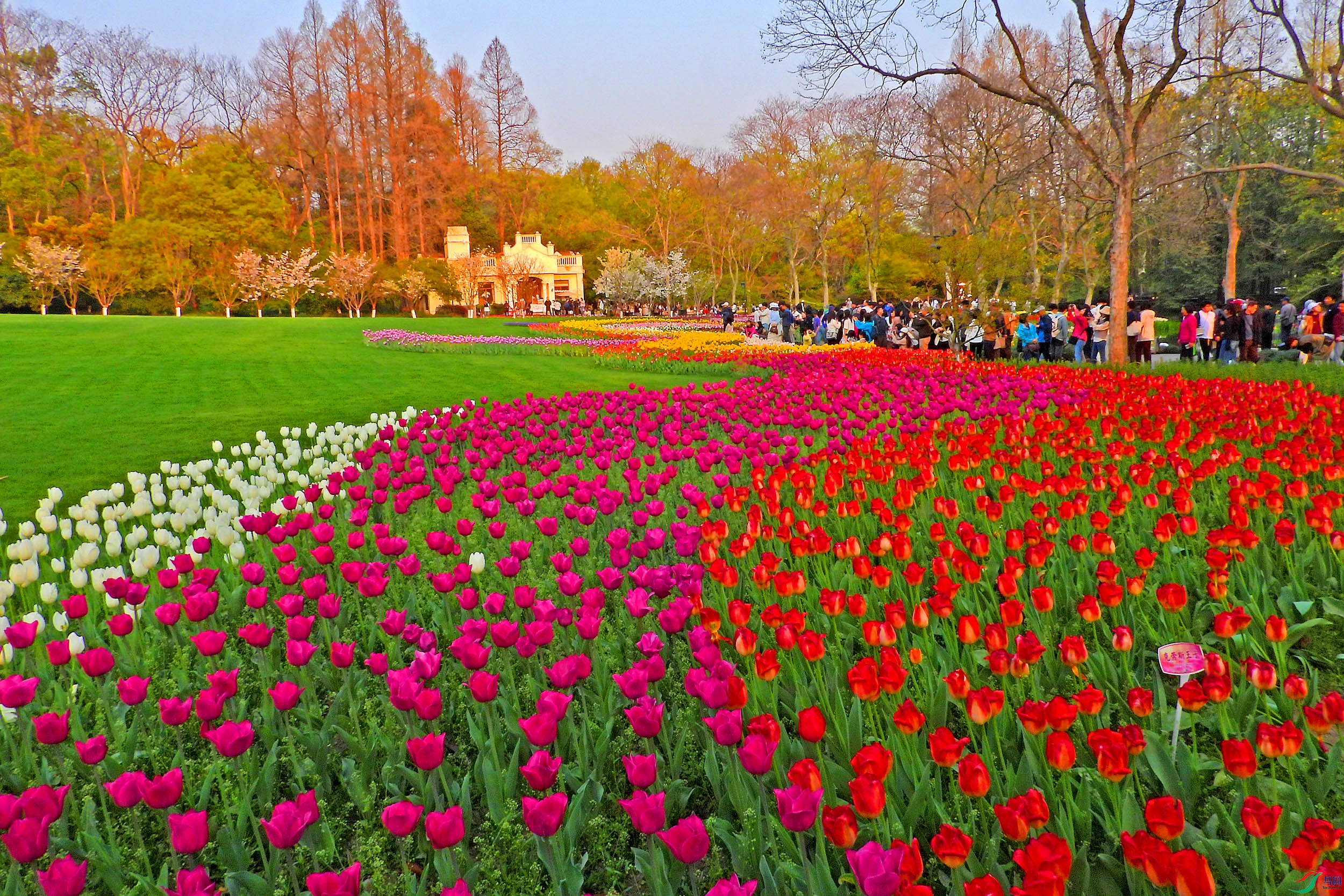 DSCN5308.JPG