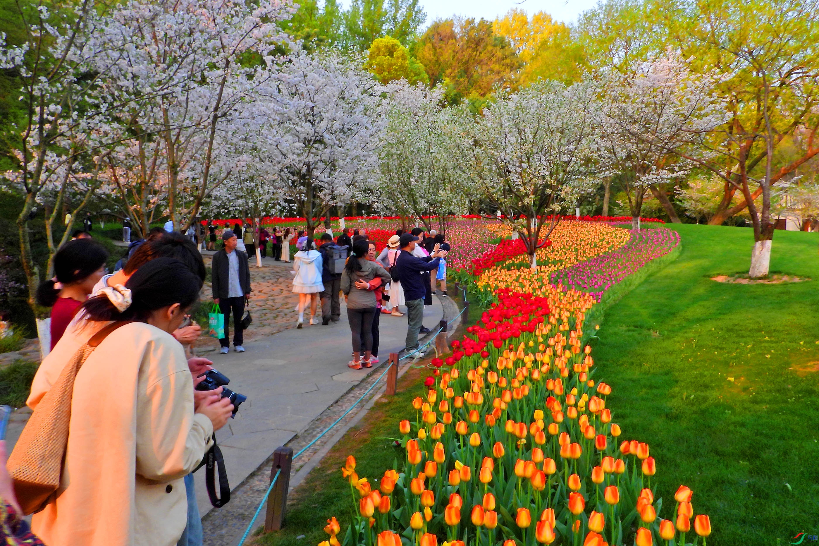 DSCN5310.JPG
