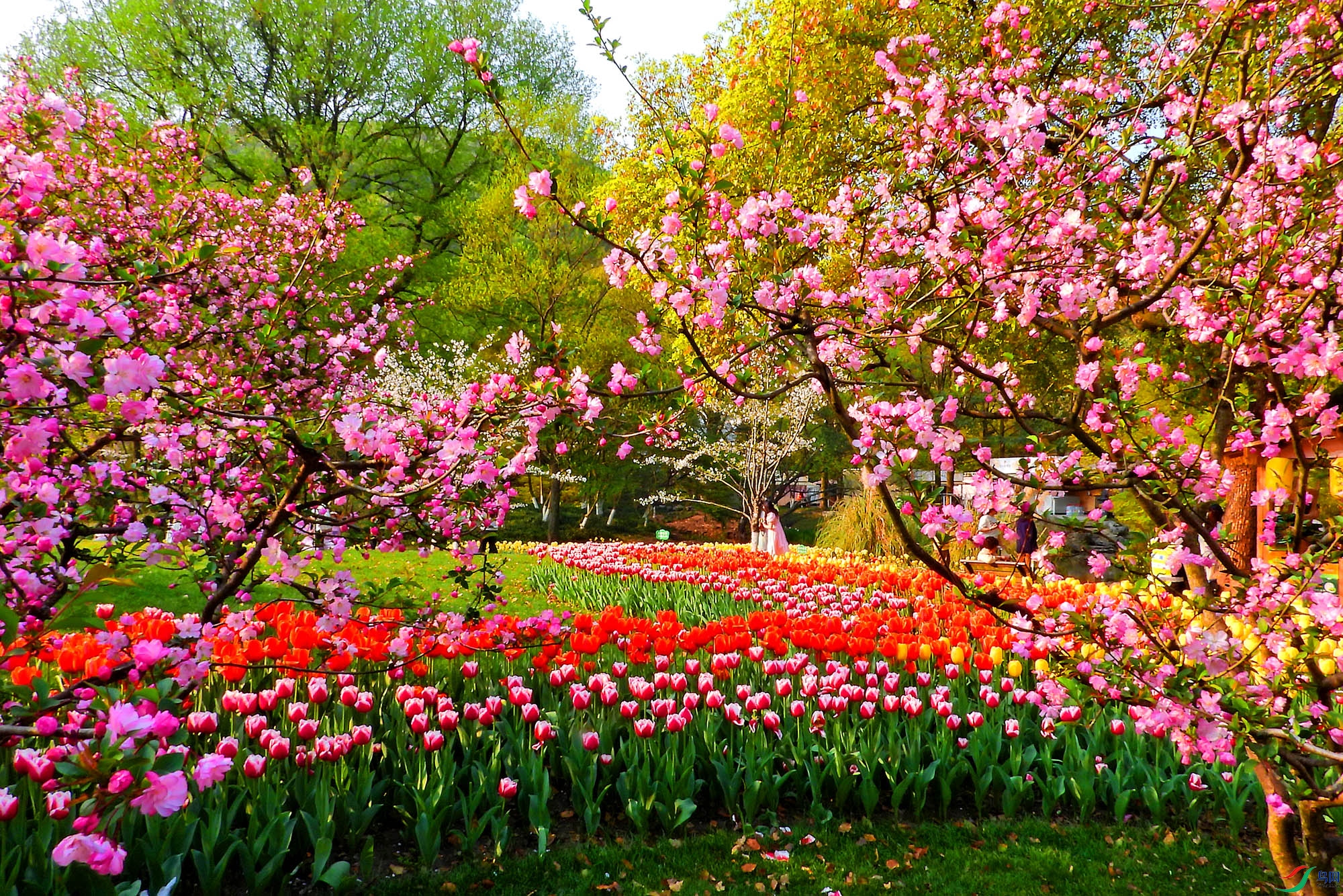 DSCN5368.JPG