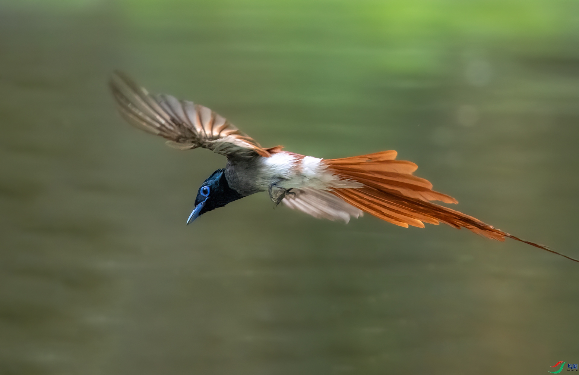 DSC_7275-1.jpg