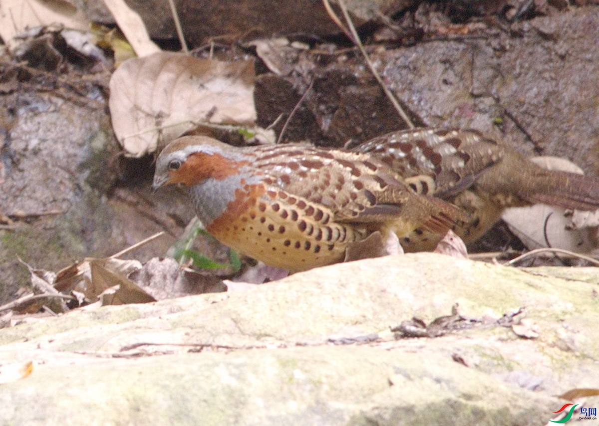 DSC_7481xc_������С.jpg