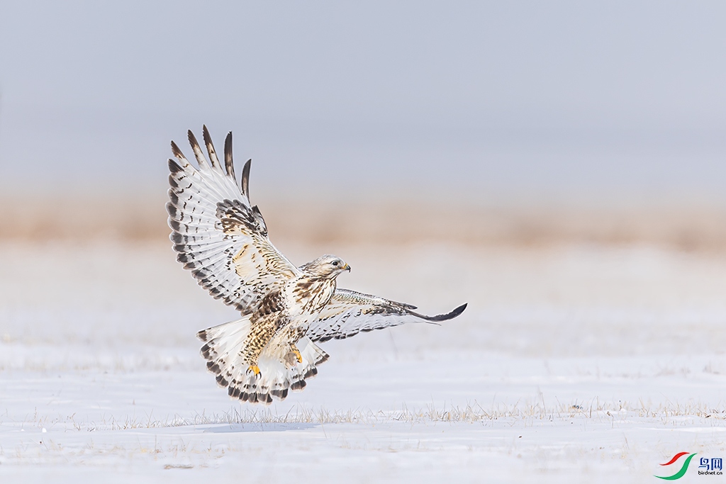 nmghleR3250303 (141).jpg