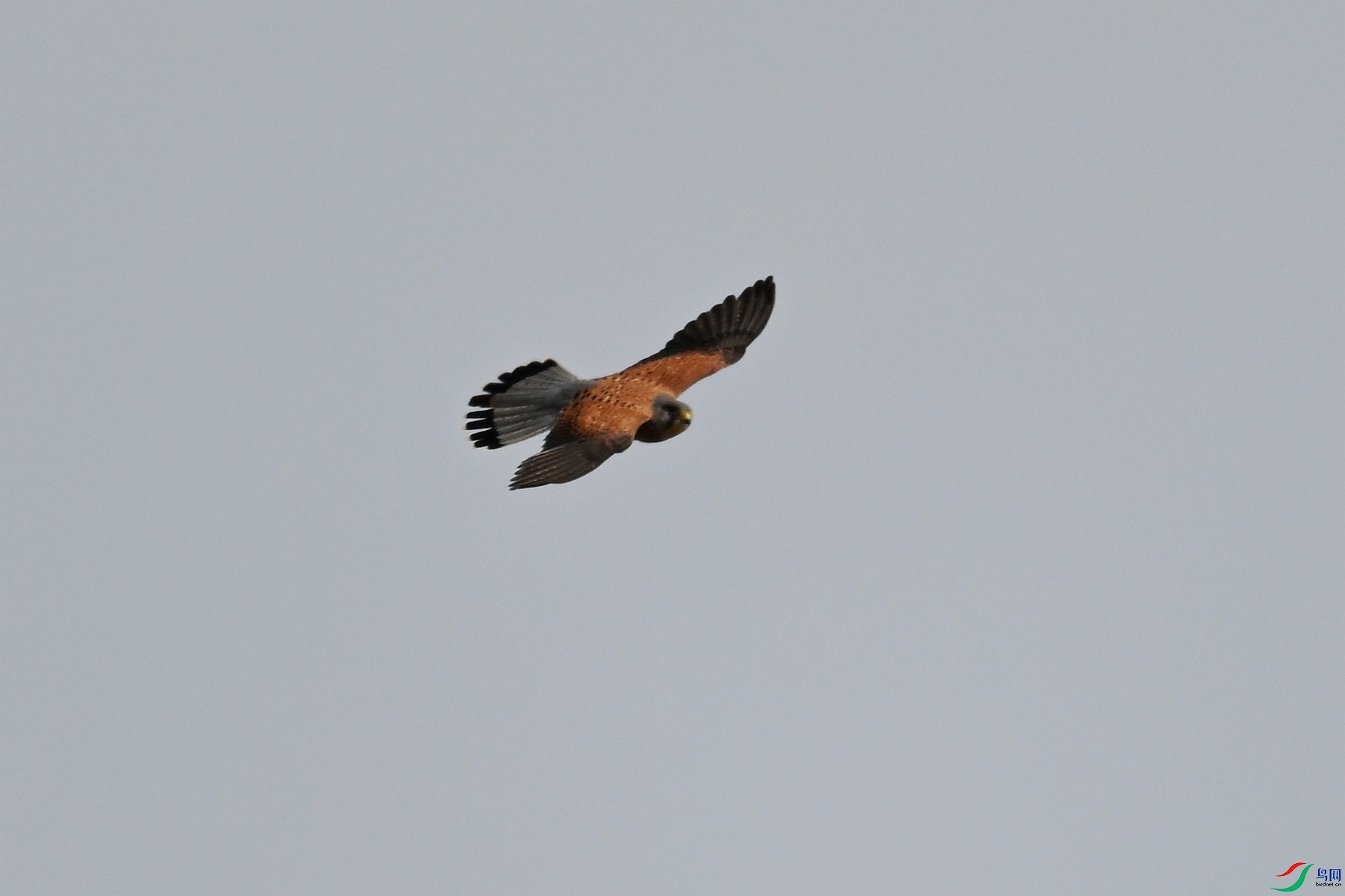 DSC_5809.JPG