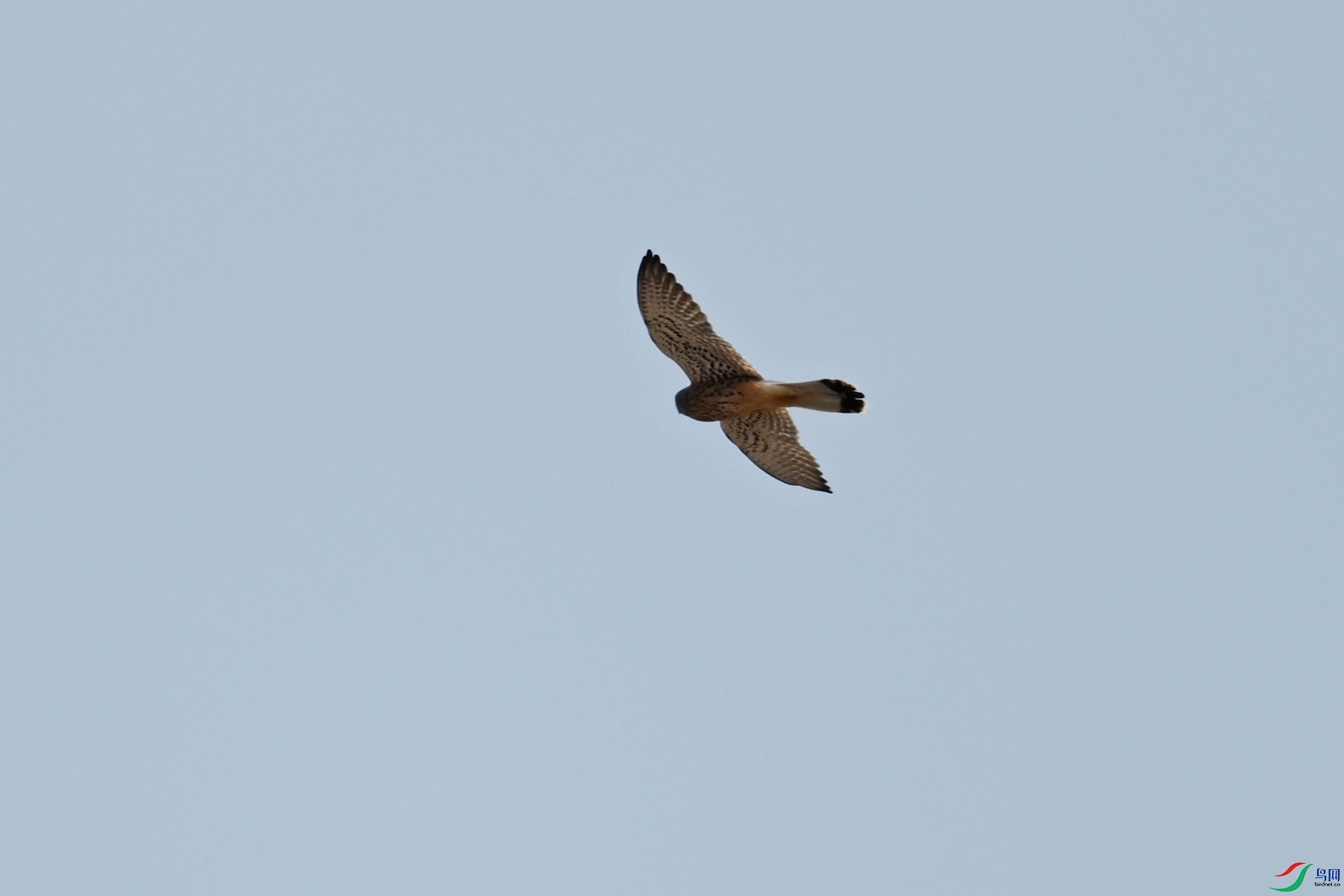 DSC_5782.JPG