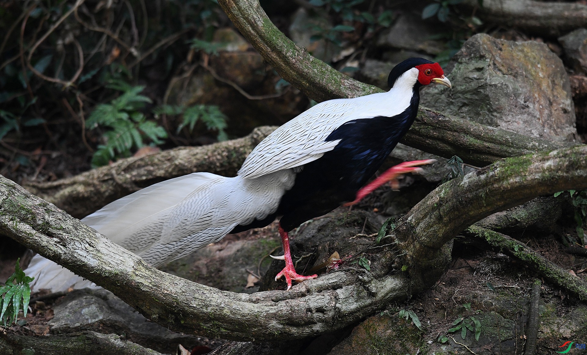 DSC_0797.jpg