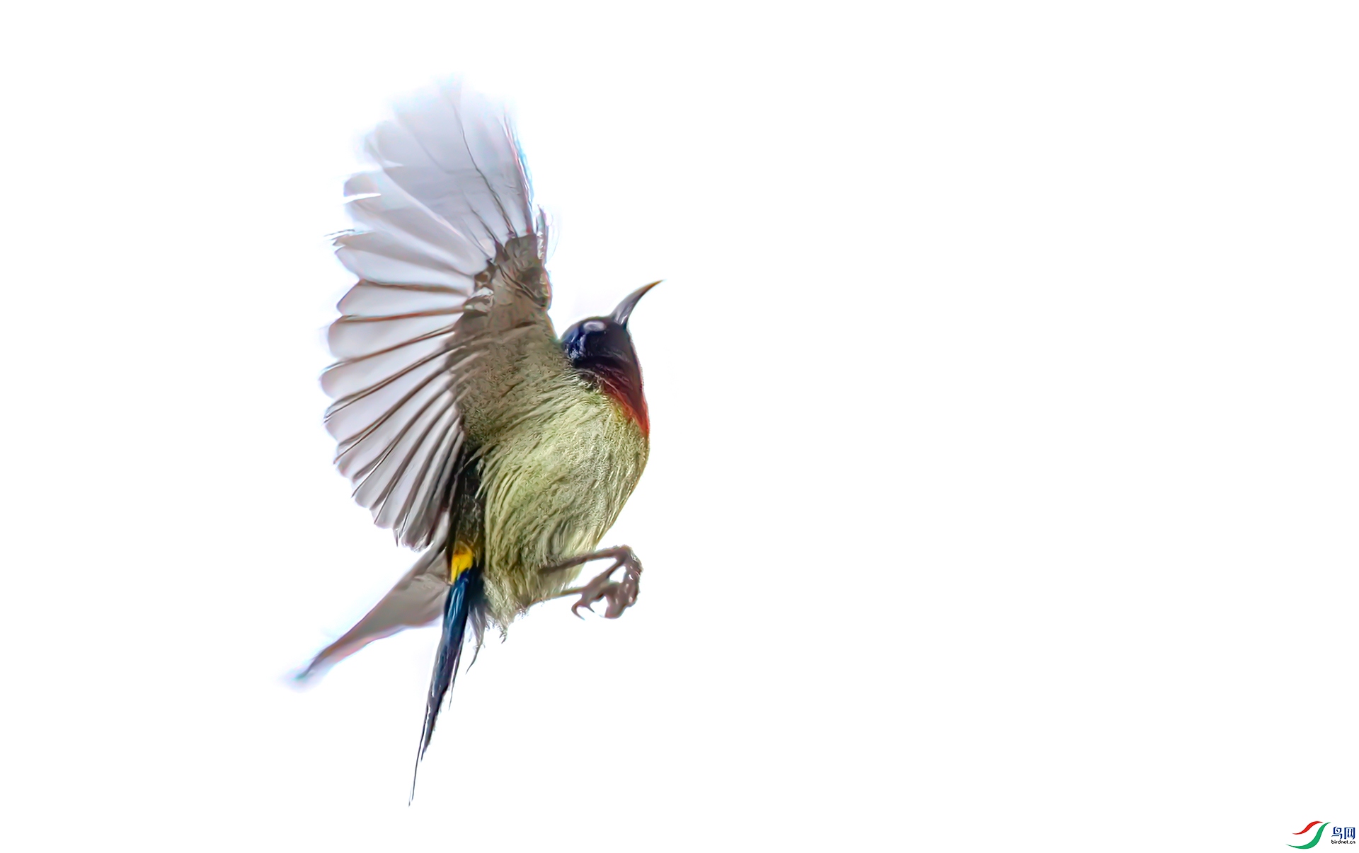 060A2802 ����-Sh---00  .jpg