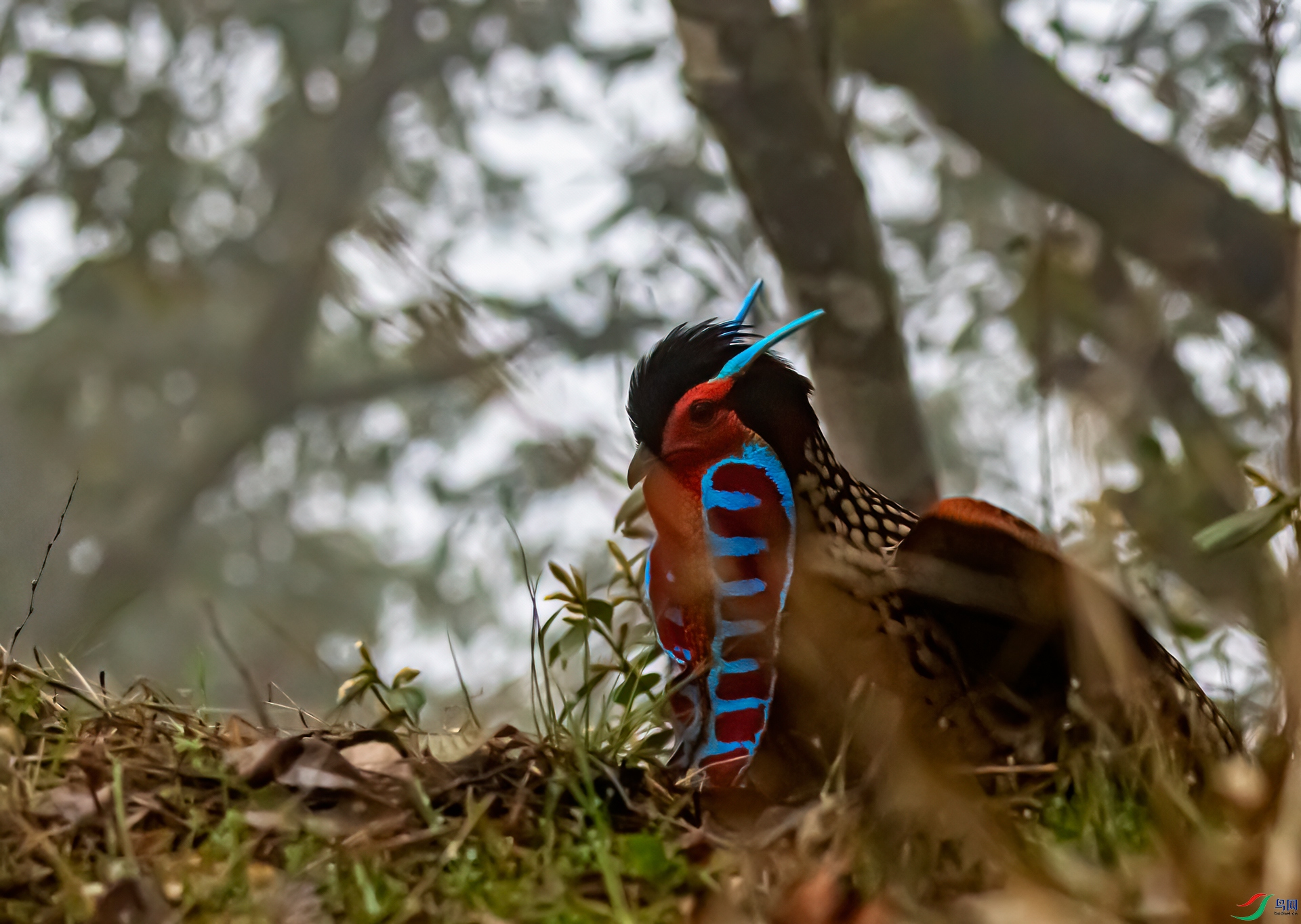 DSC_8410-11.jpg