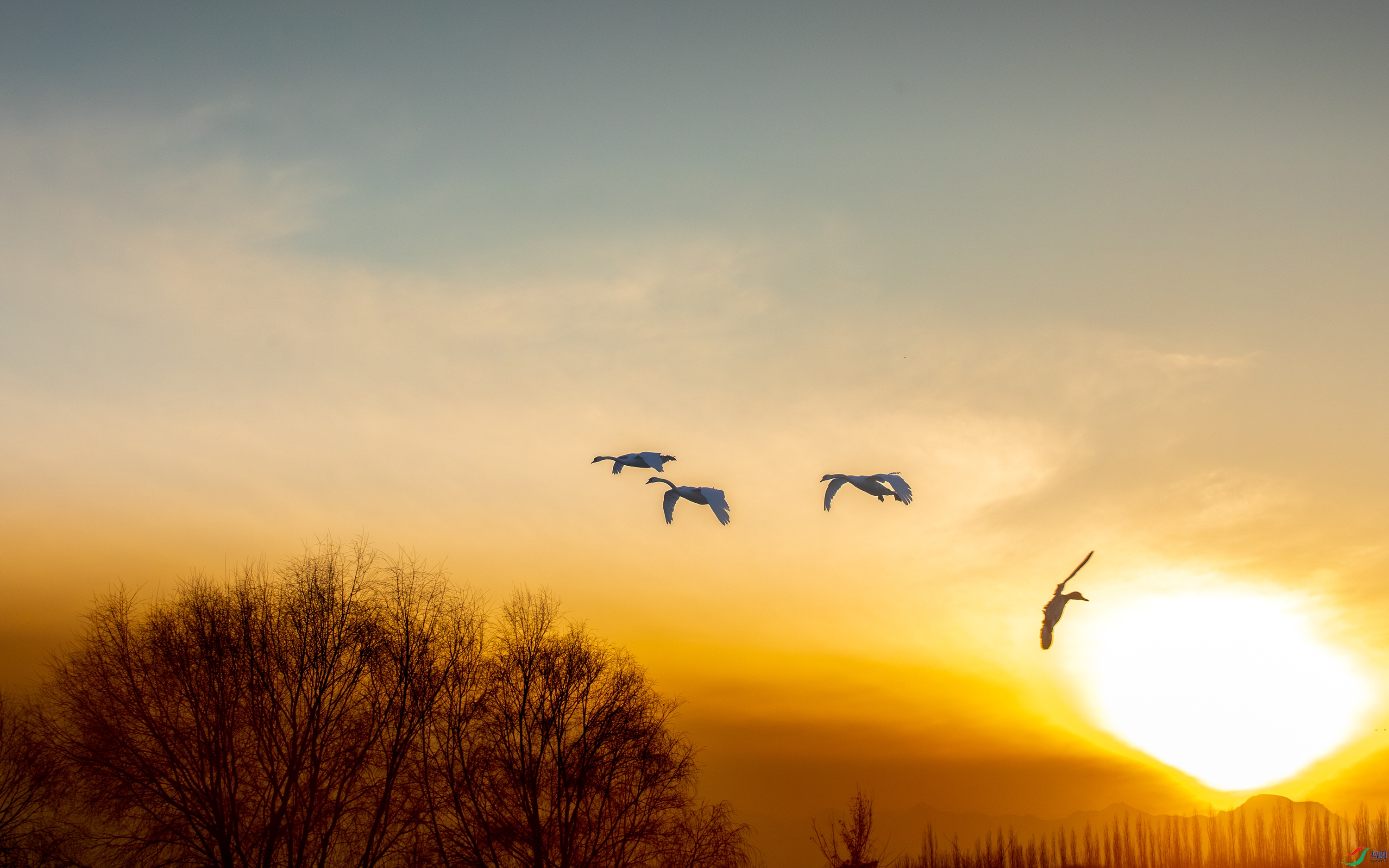 3S5A2253-����ǿ-NR ����.jpg