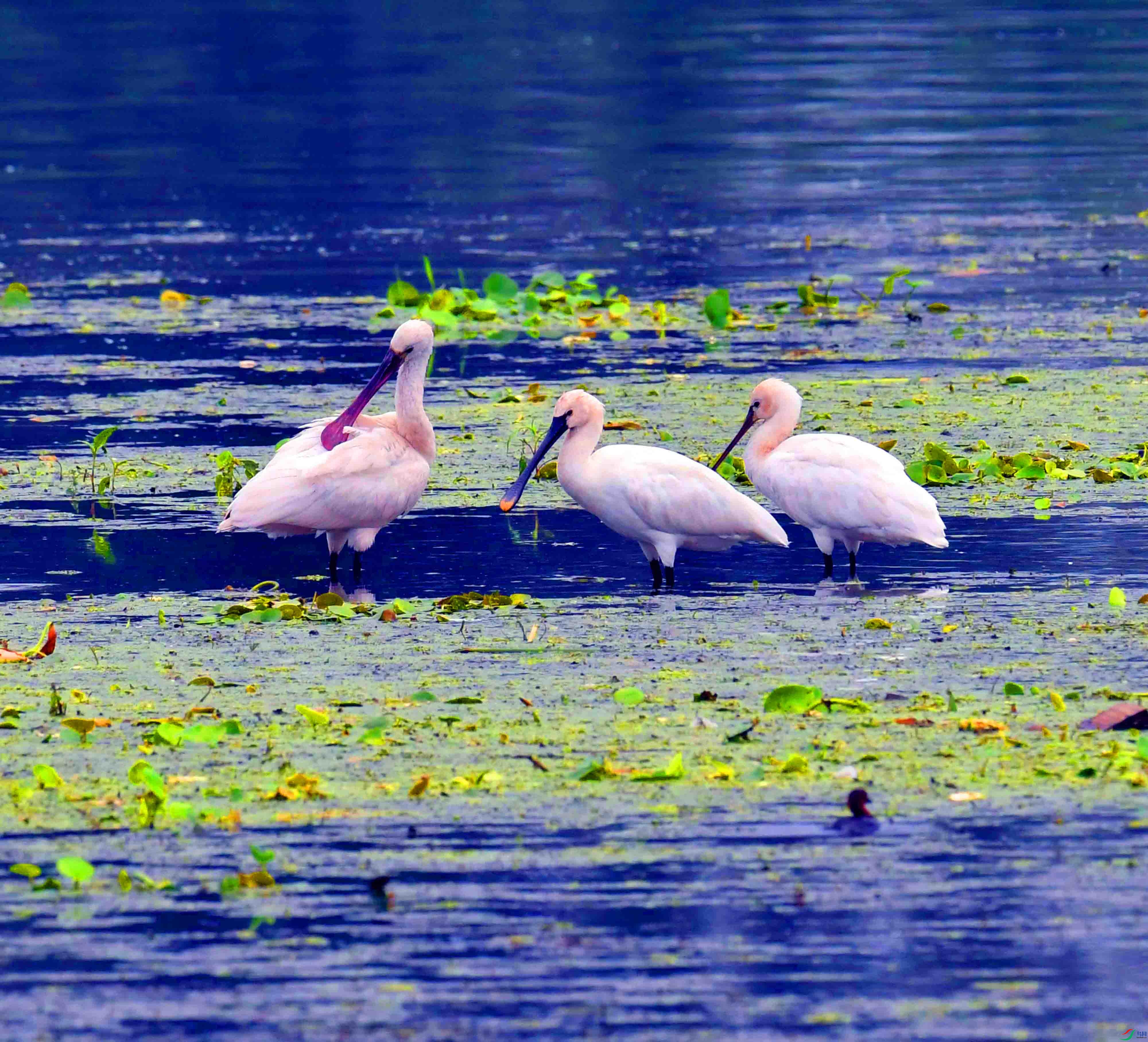 DSC_8266.JPG
