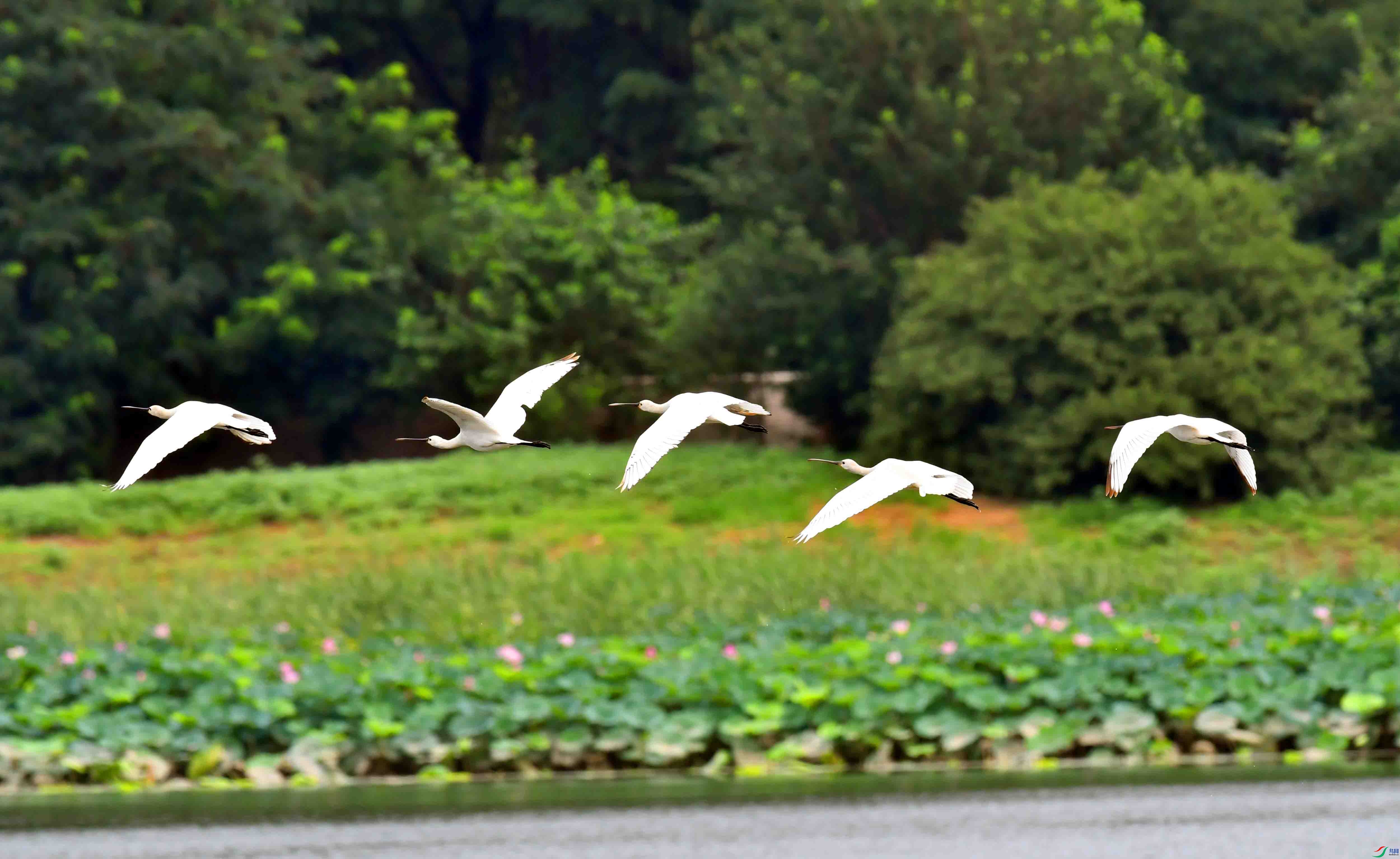 DSC_8318.JPG