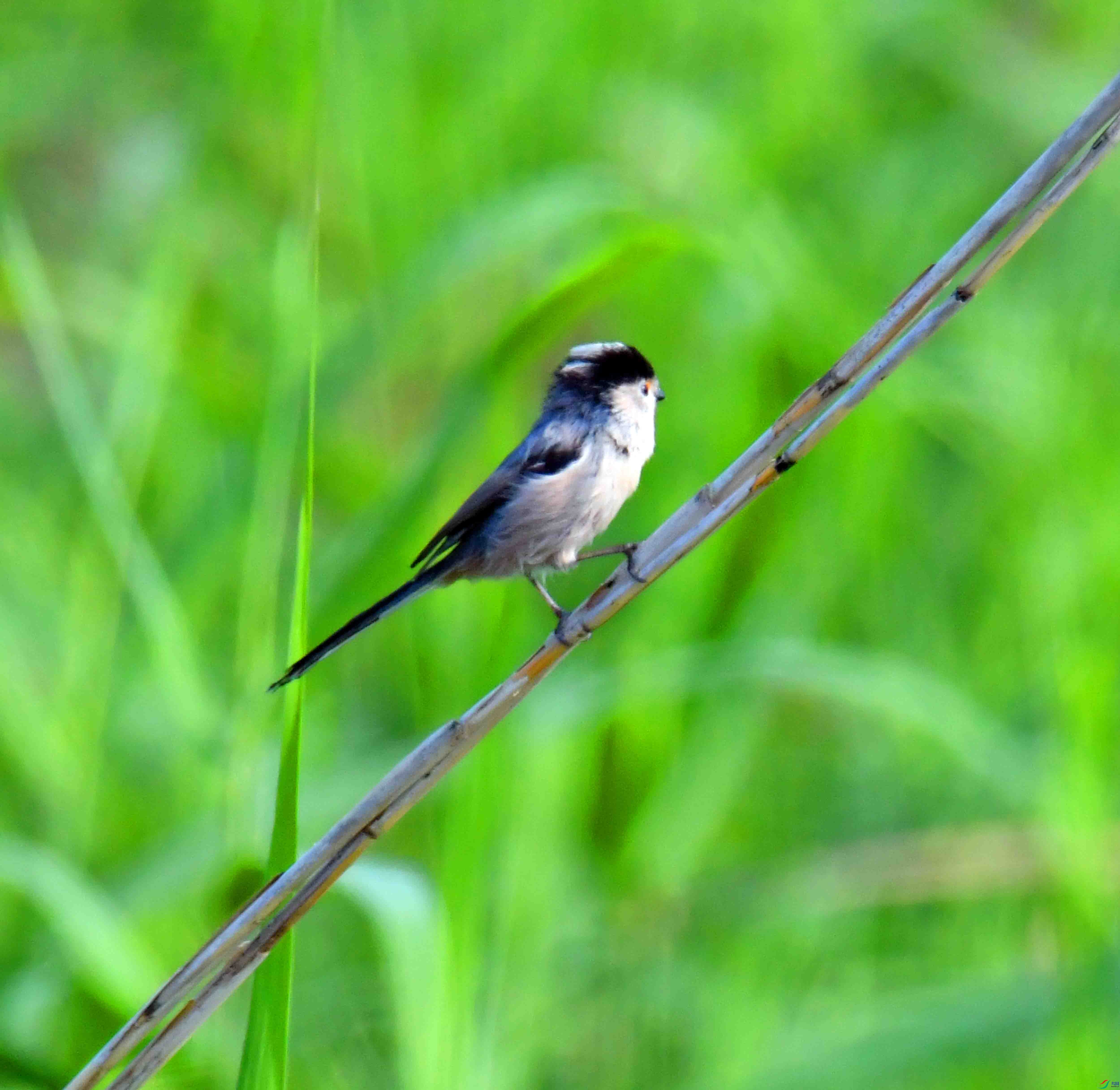 DSC_8841.JPG