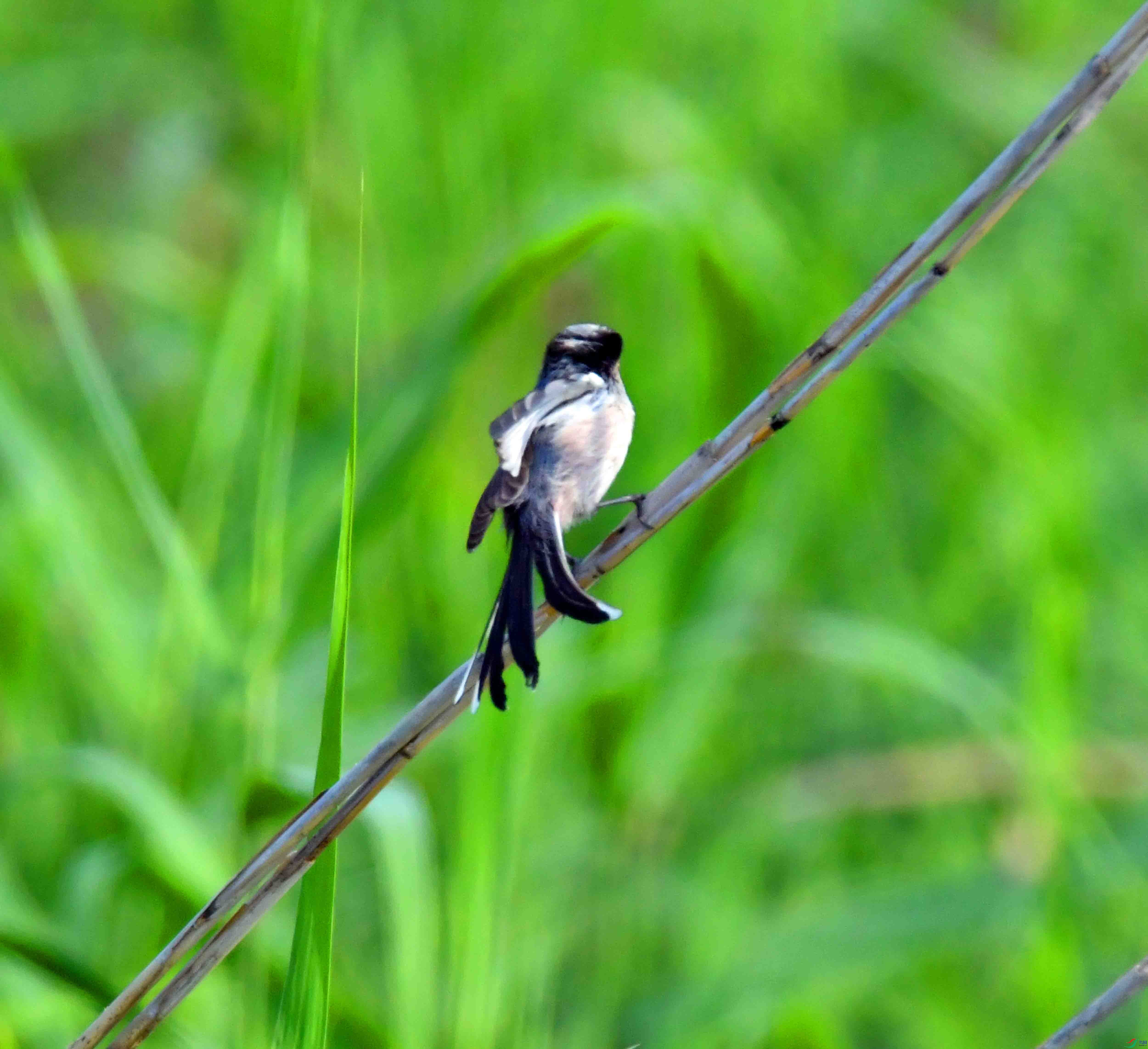 DSC_8852.JPG