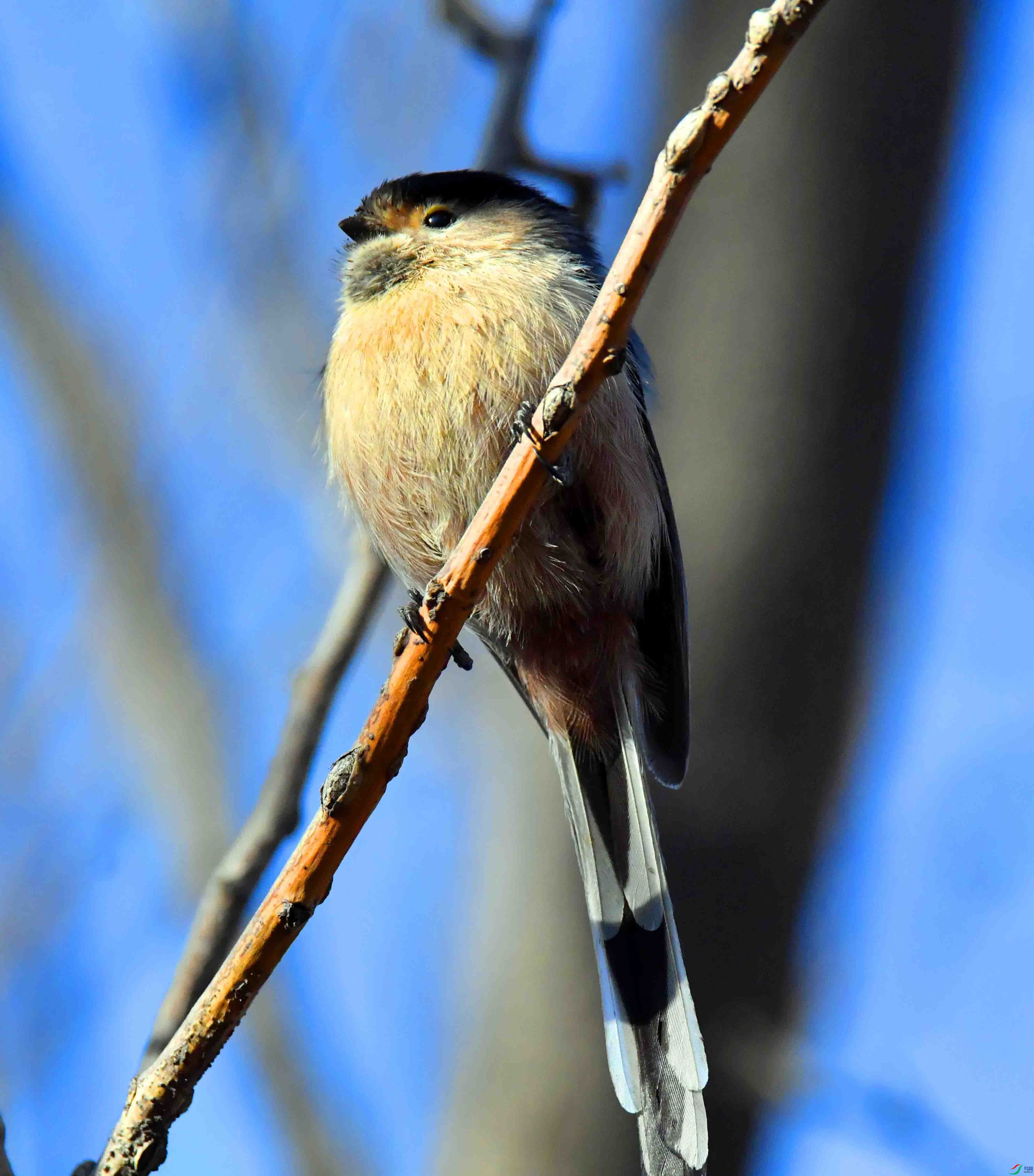 DSC_8917.JPG