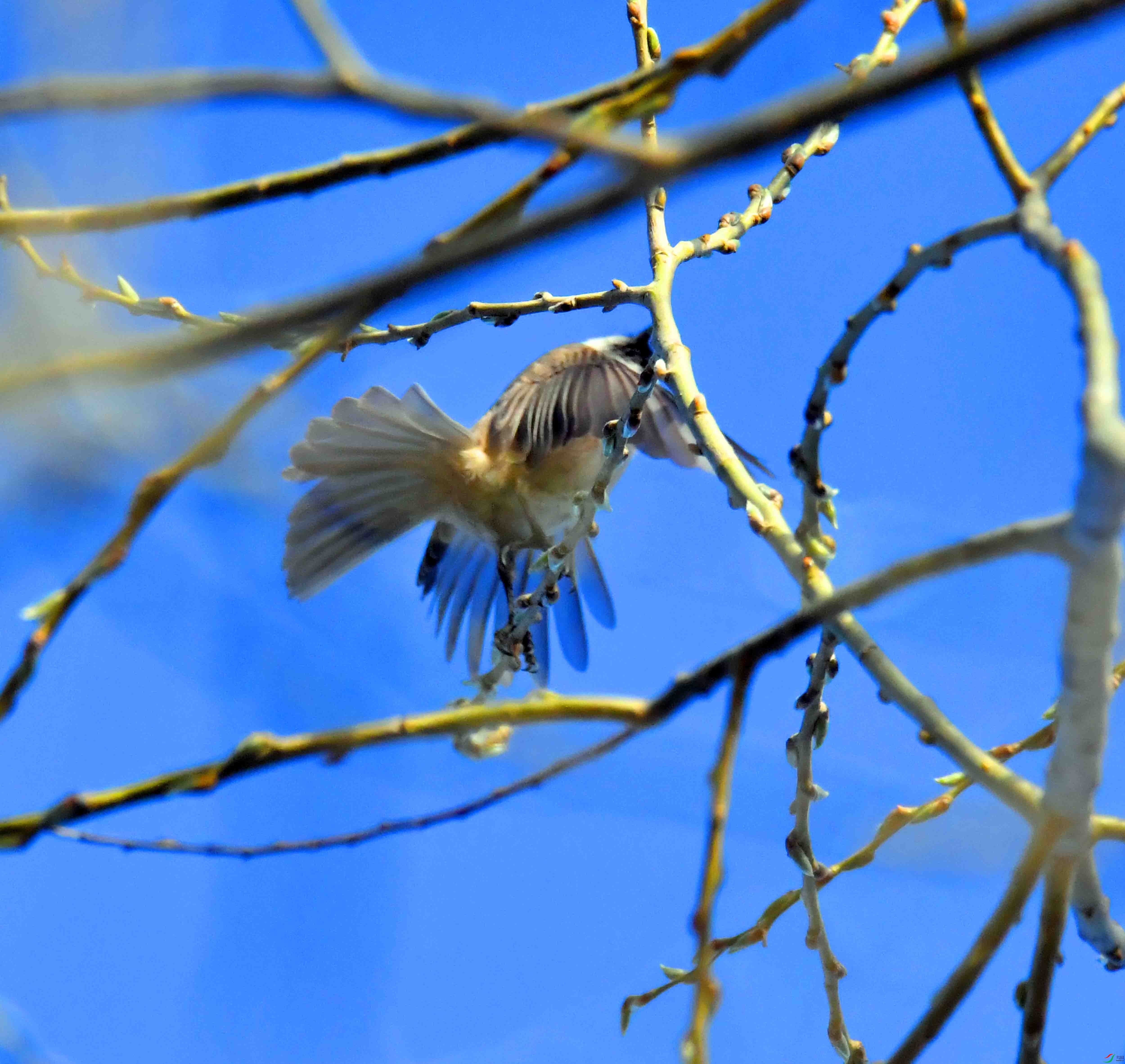 DSC_9804.JPG
