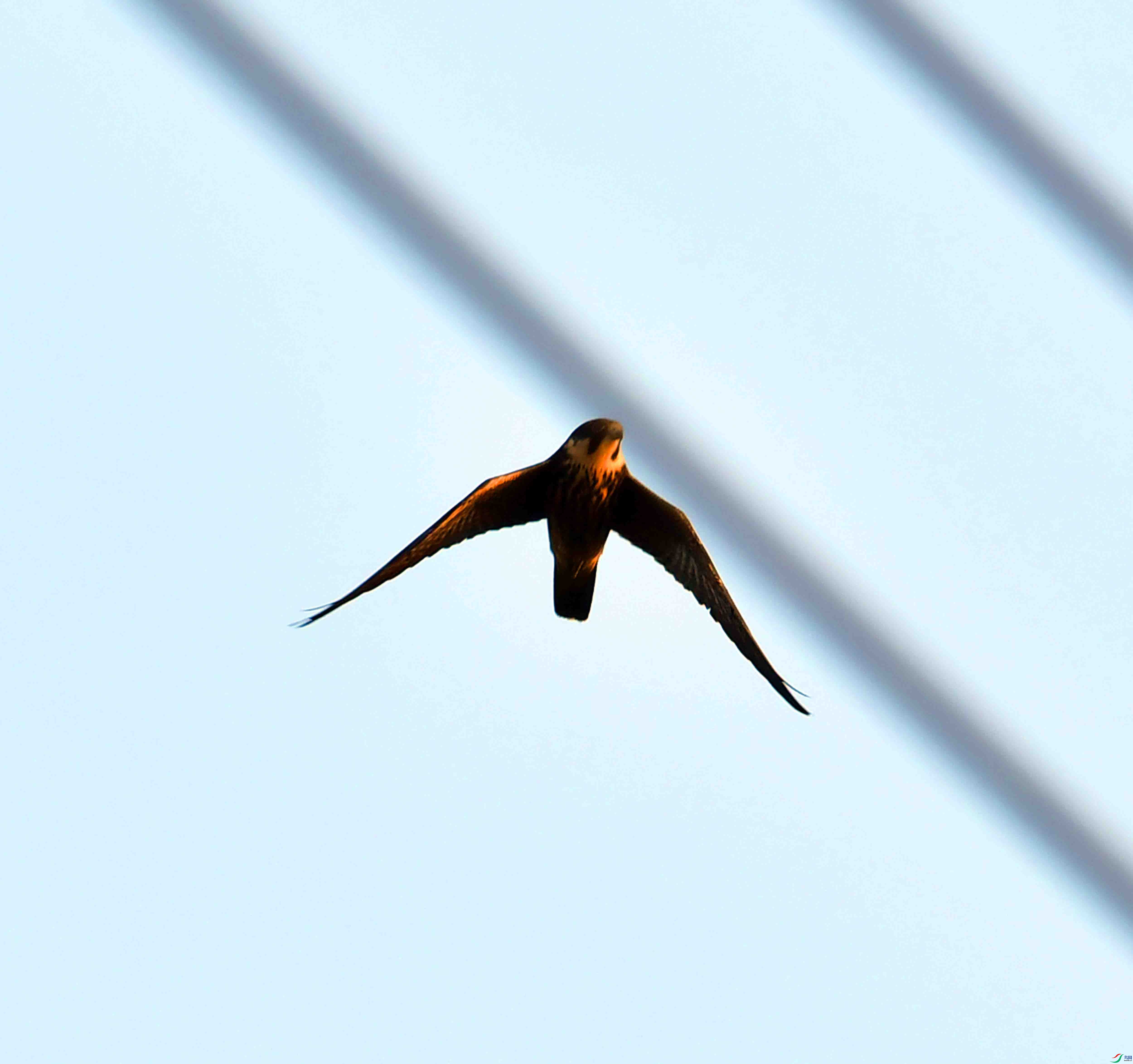 DSC_9904.JPG