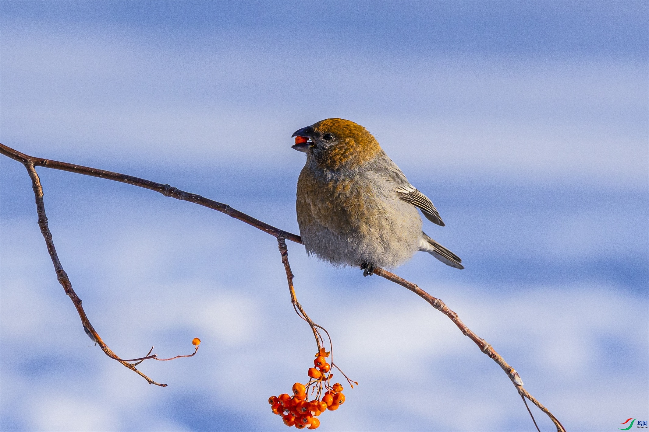 1K3A8429 ����1.jpg