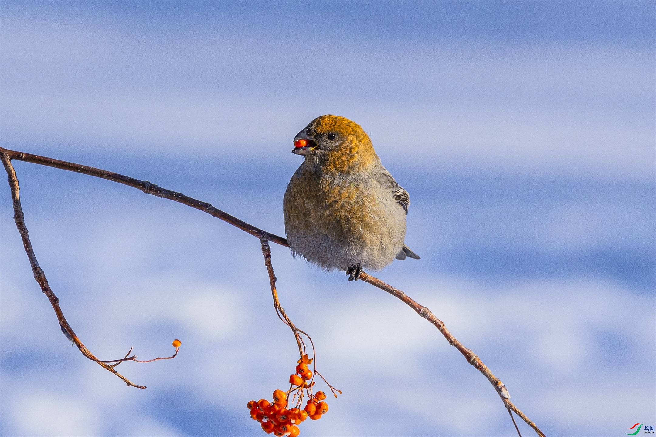 1K3A8425 ����1.jpg