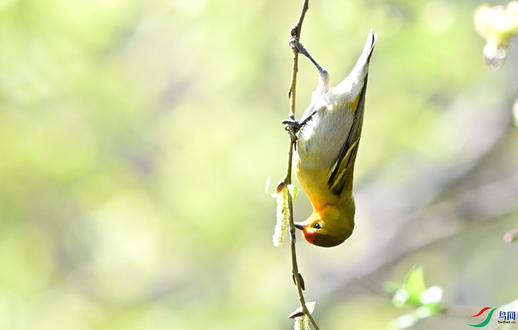 DSC_2612.JPG