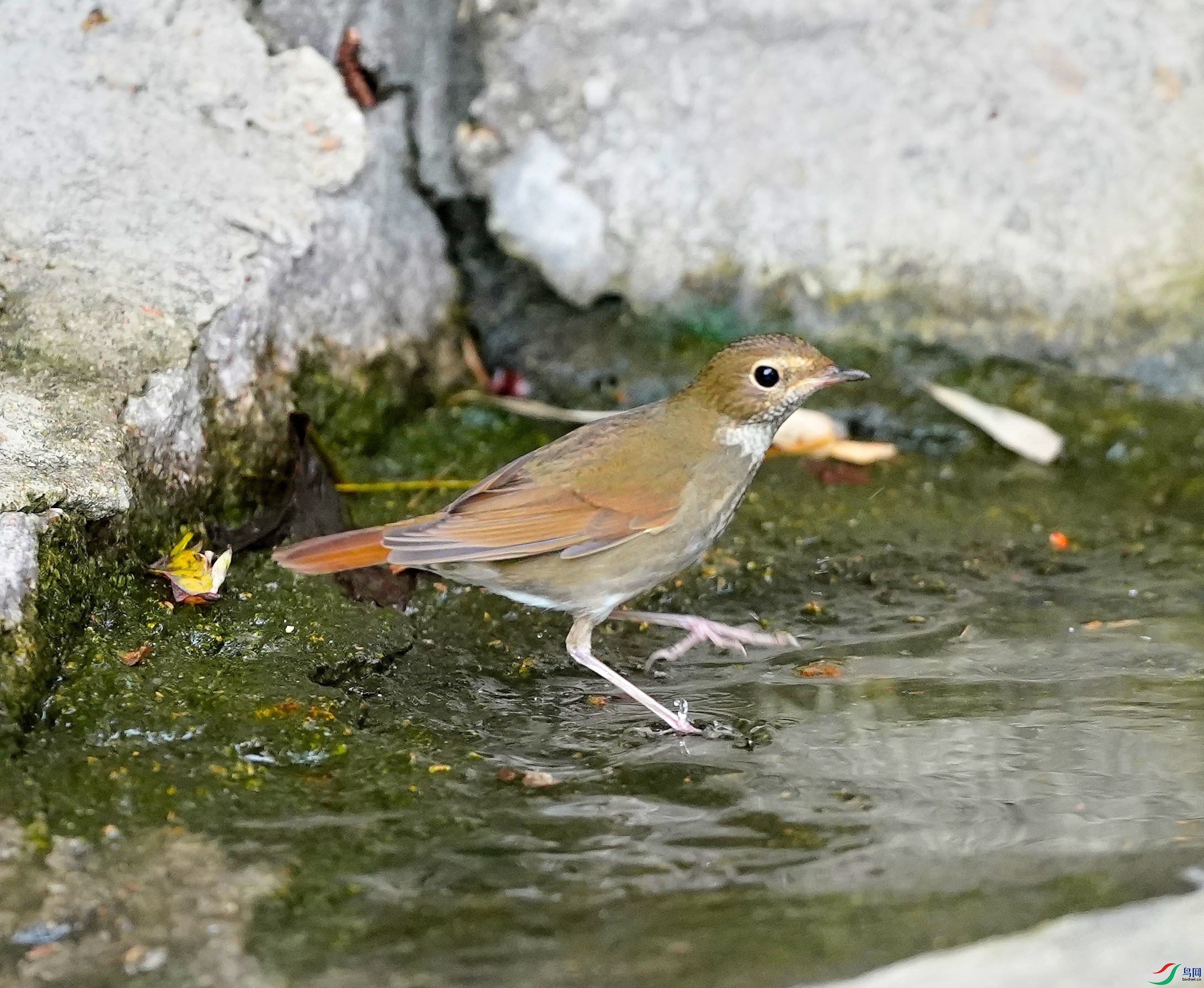 DSC06595.JPG