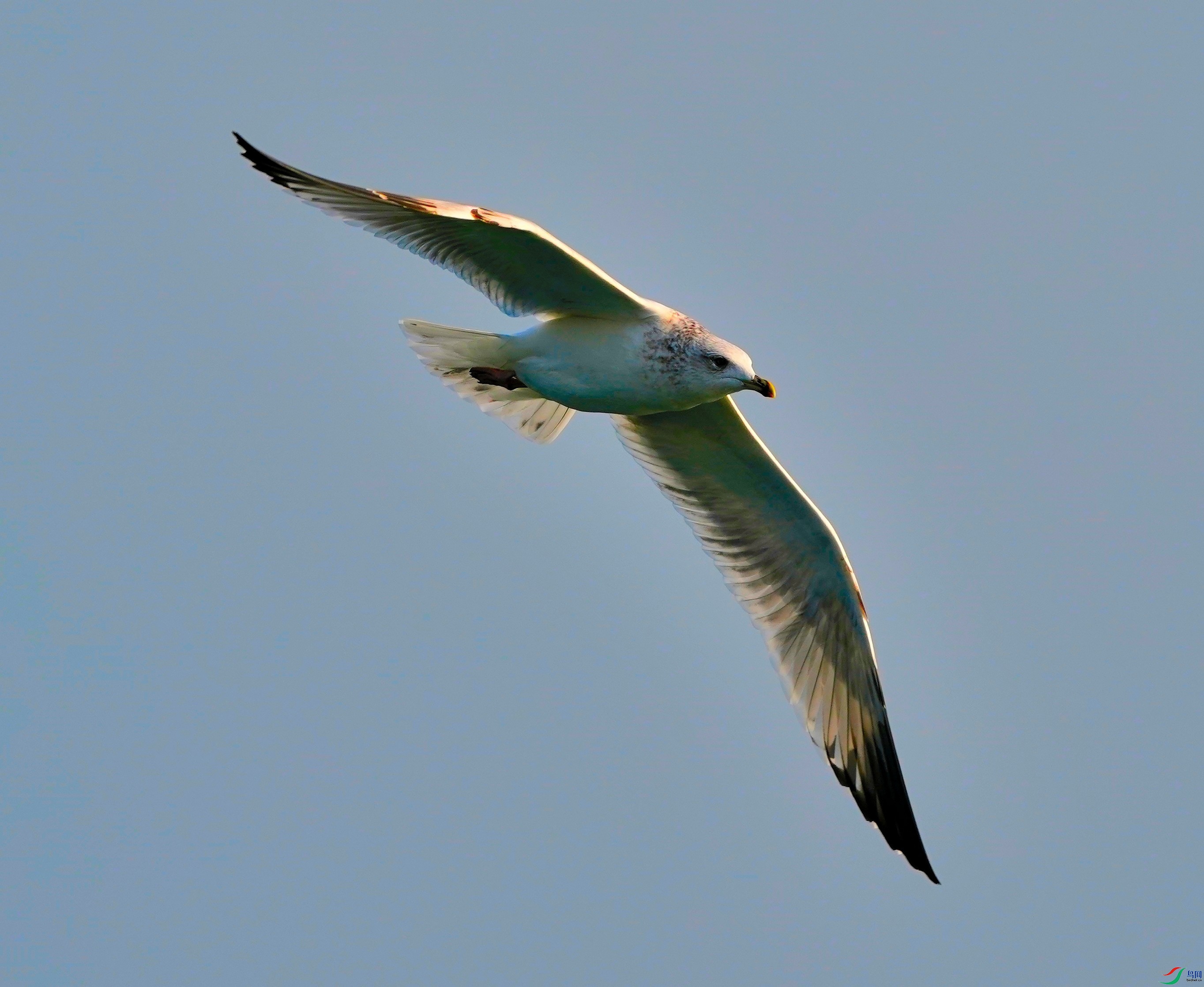 DSC04511.JPG