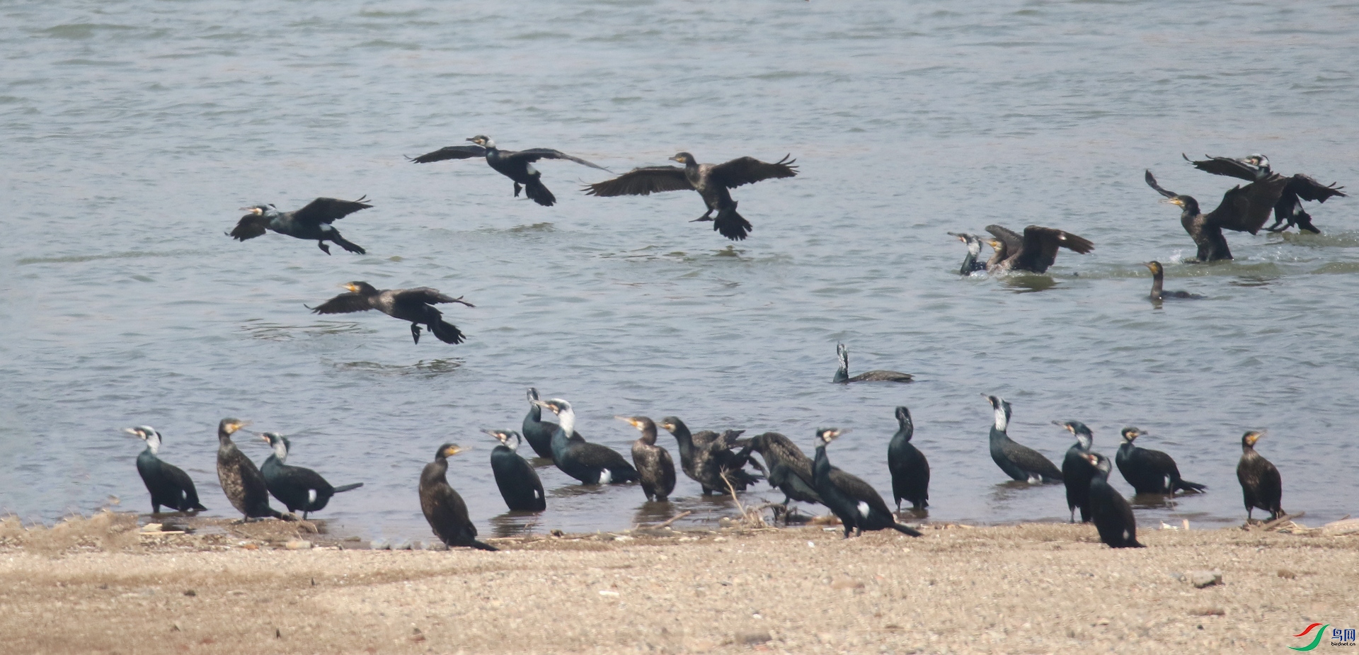 0G1A1354 ����.jpg