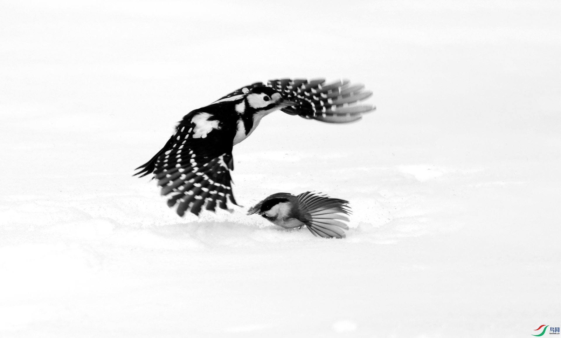 0G1A7801 ����.jpg