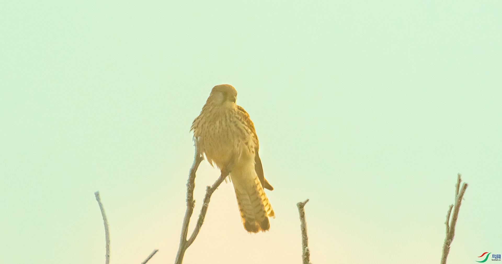 DSC_7034.jpg