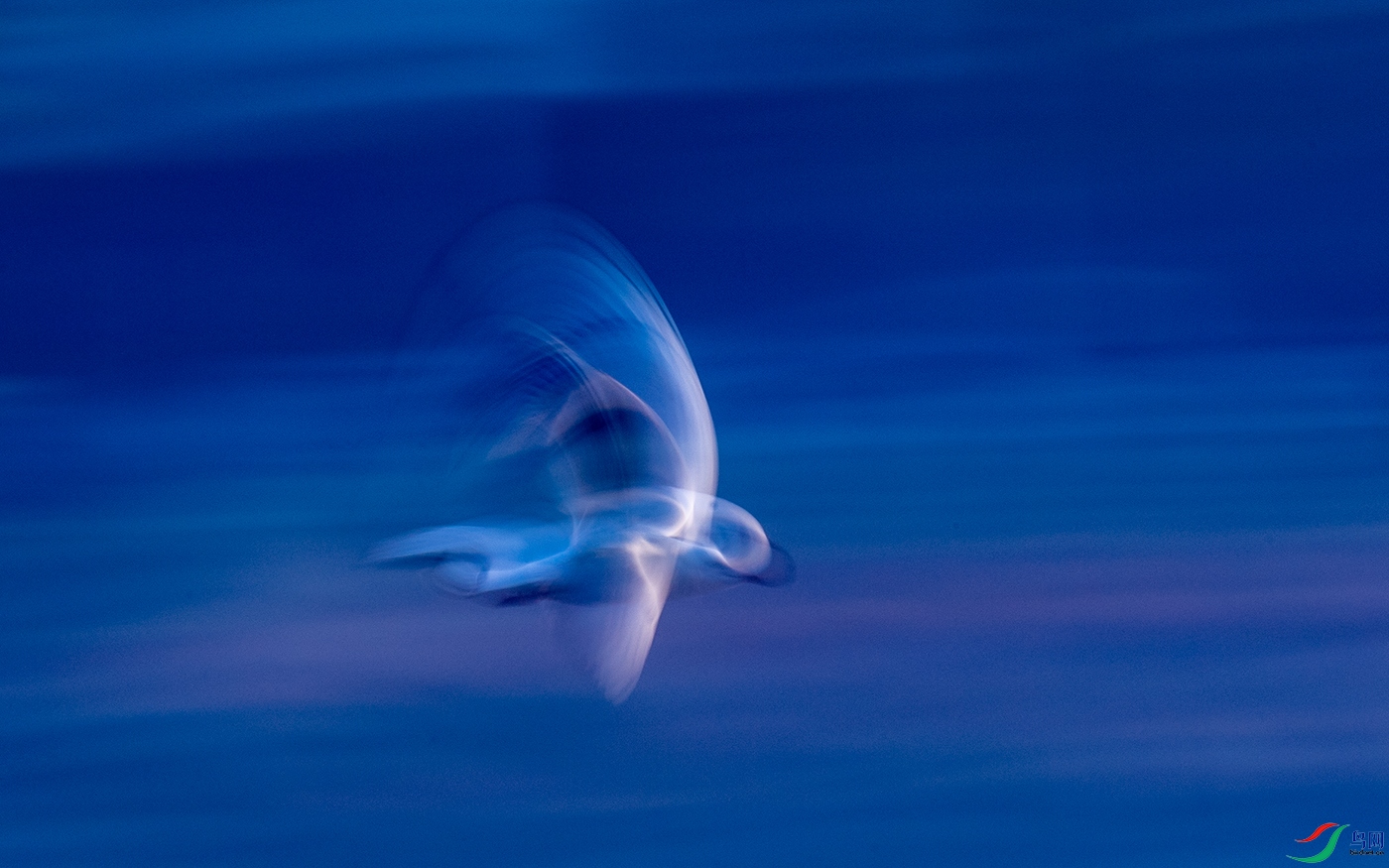 DSC_0523.jpg