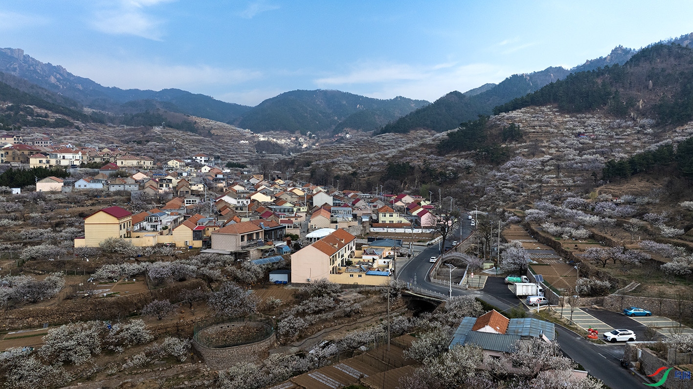 DJI_20250326152137_0006_D ����-2.jpg