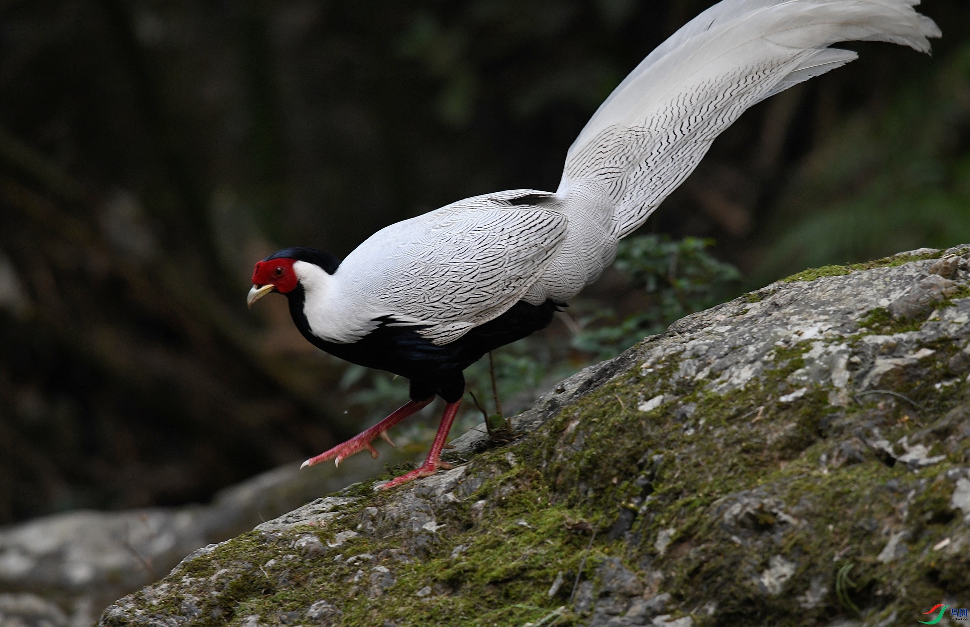 DSC_1346.jpg