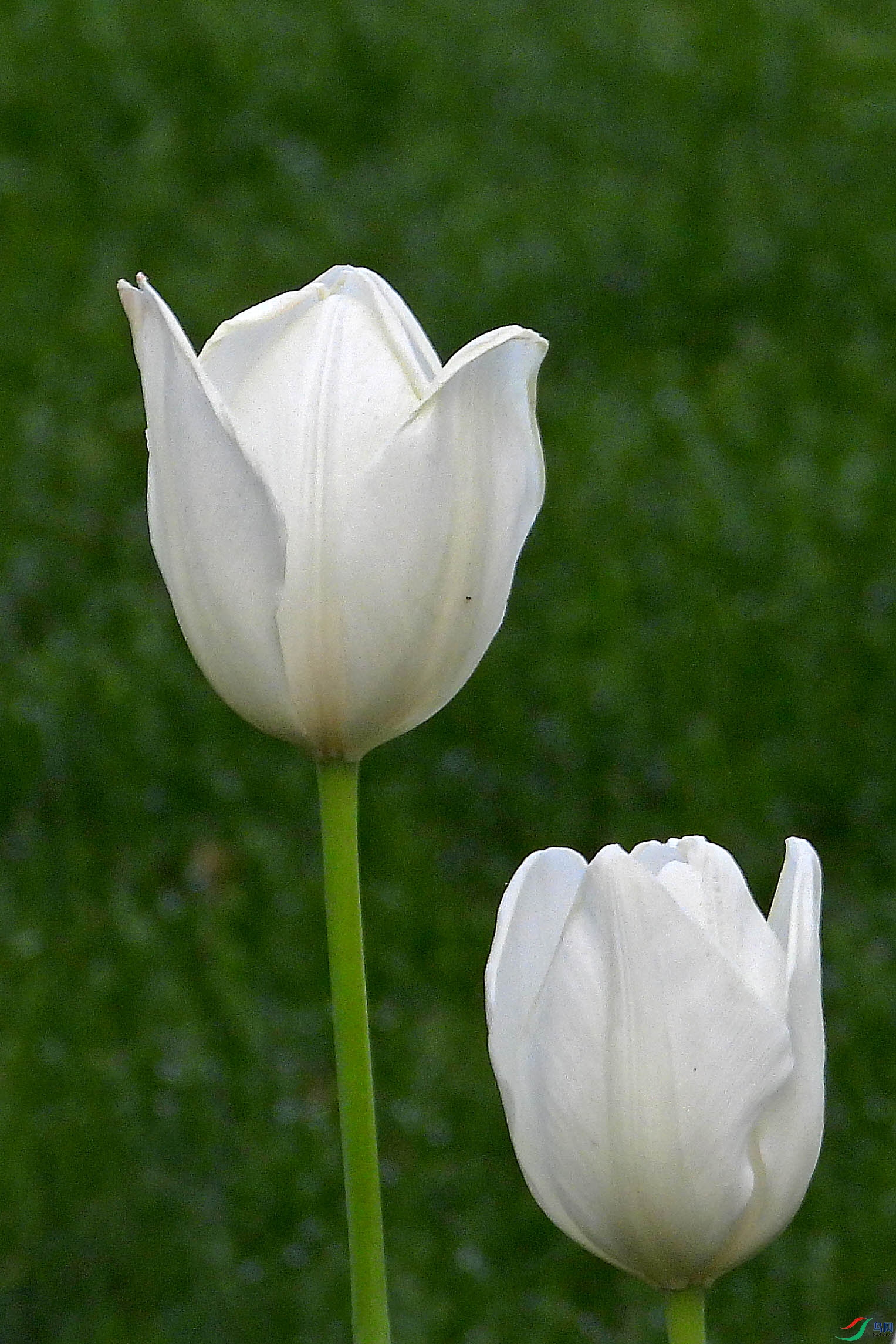DSCN5315.JPG
