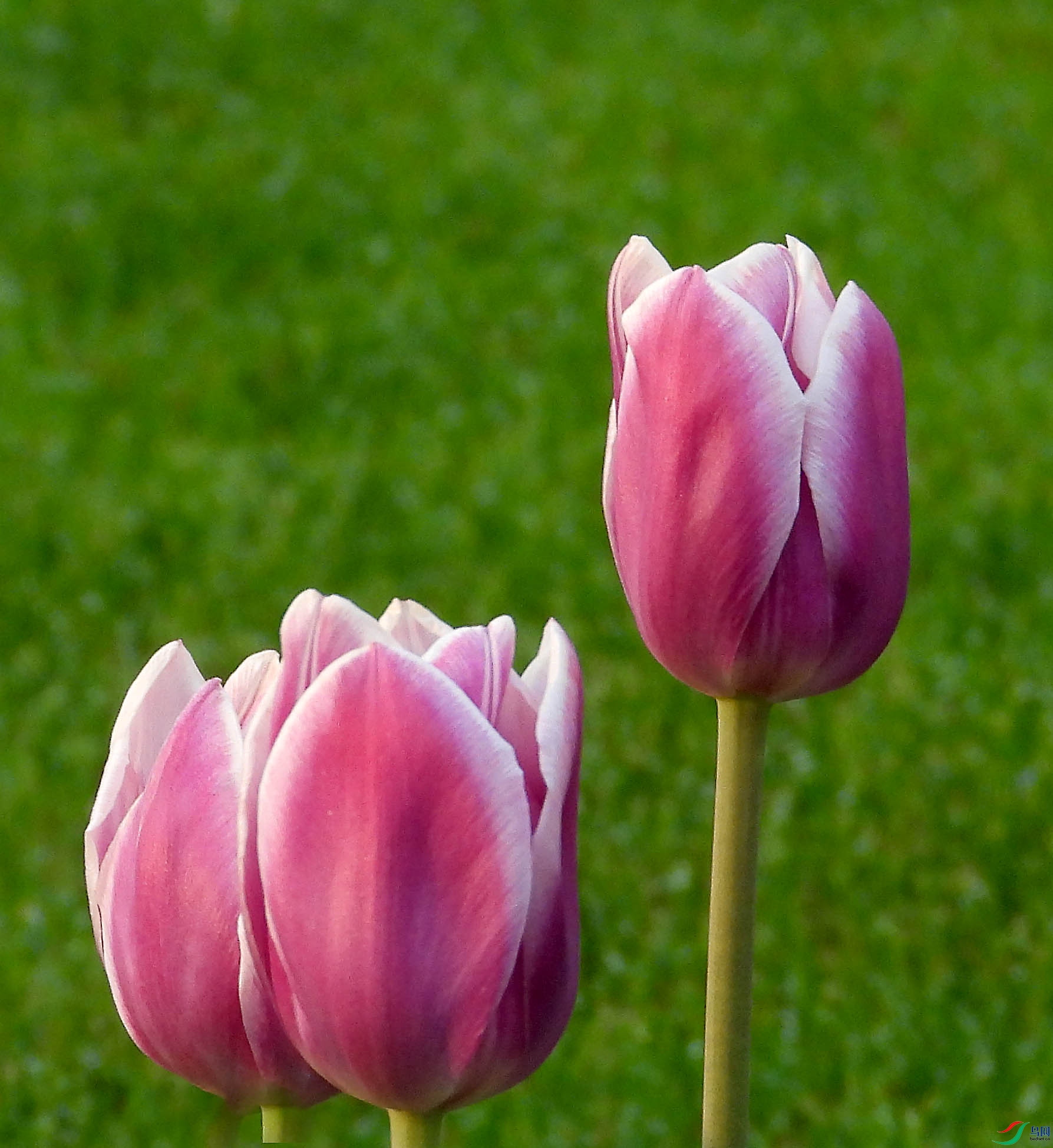 DSCN5321.JPG