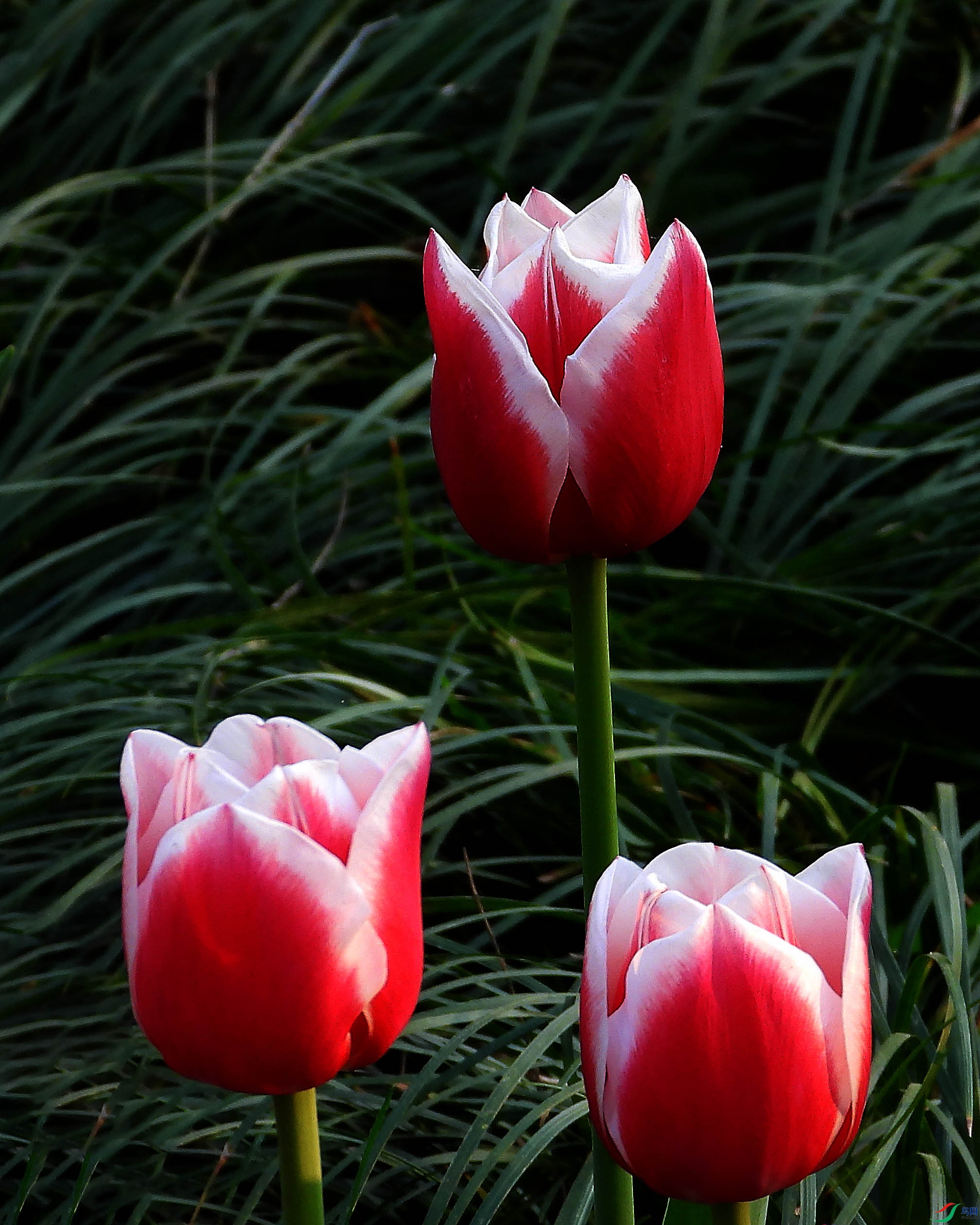 DSCN5332.JPG