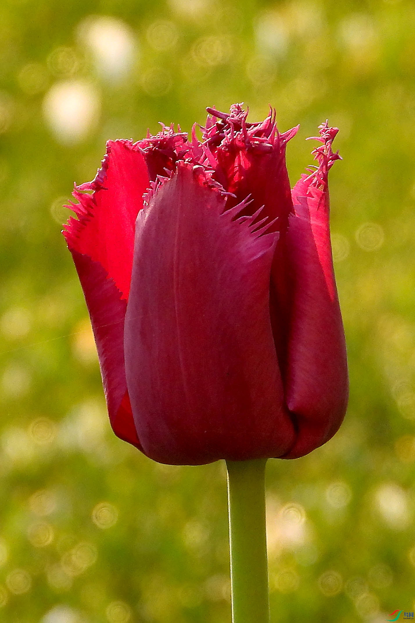 DSCN5329.JPG