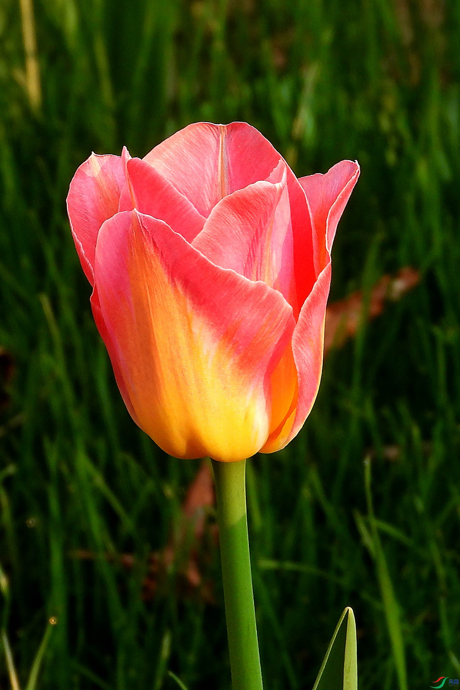 DSCN5345.JPG