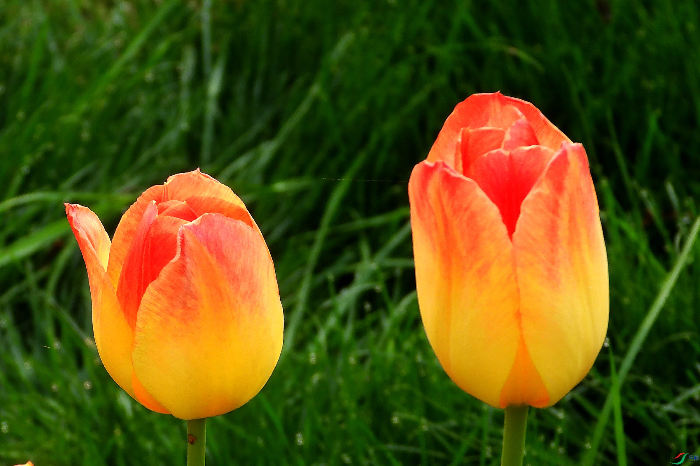 DSCN5337.JPG