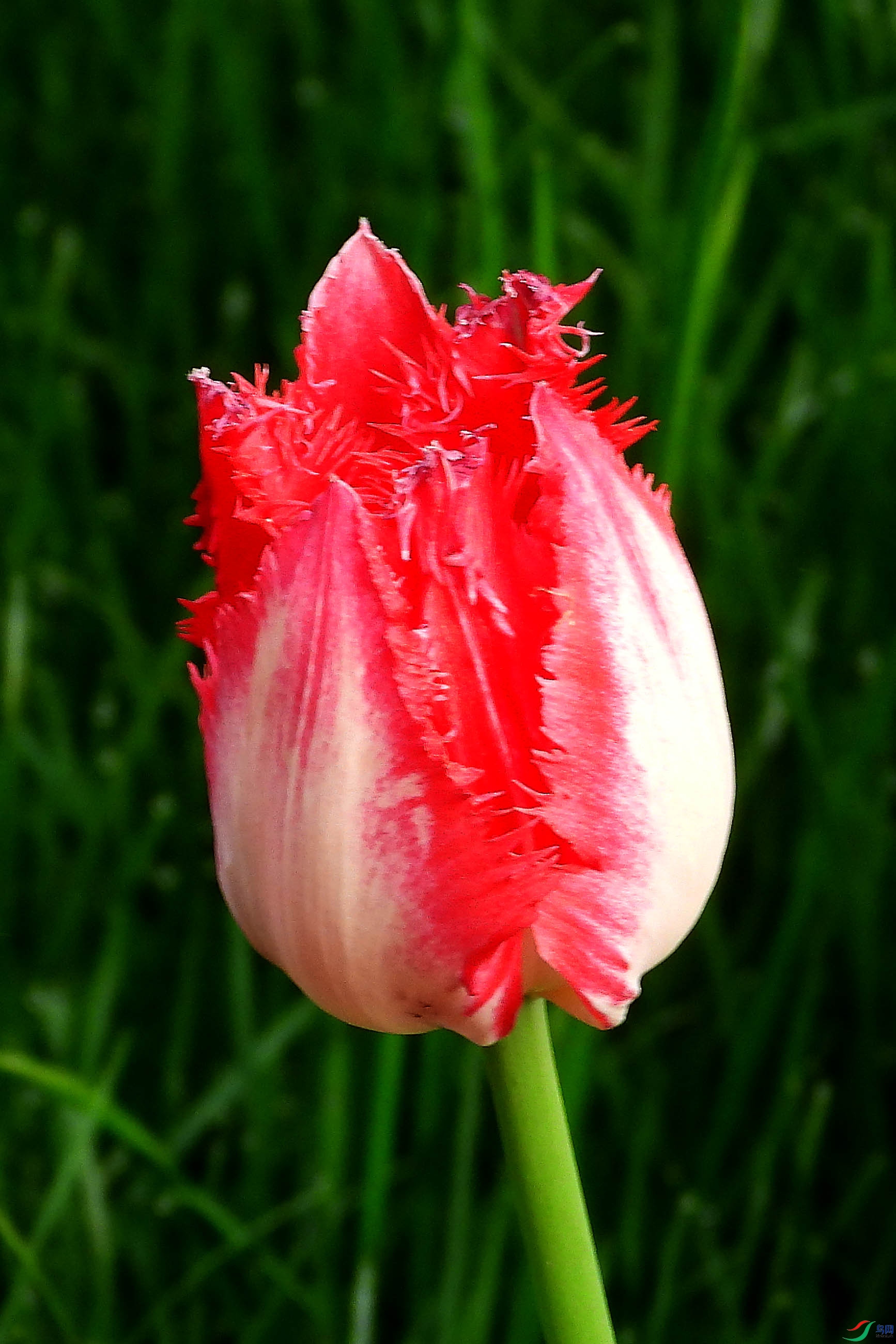 DSCN5344.JPG