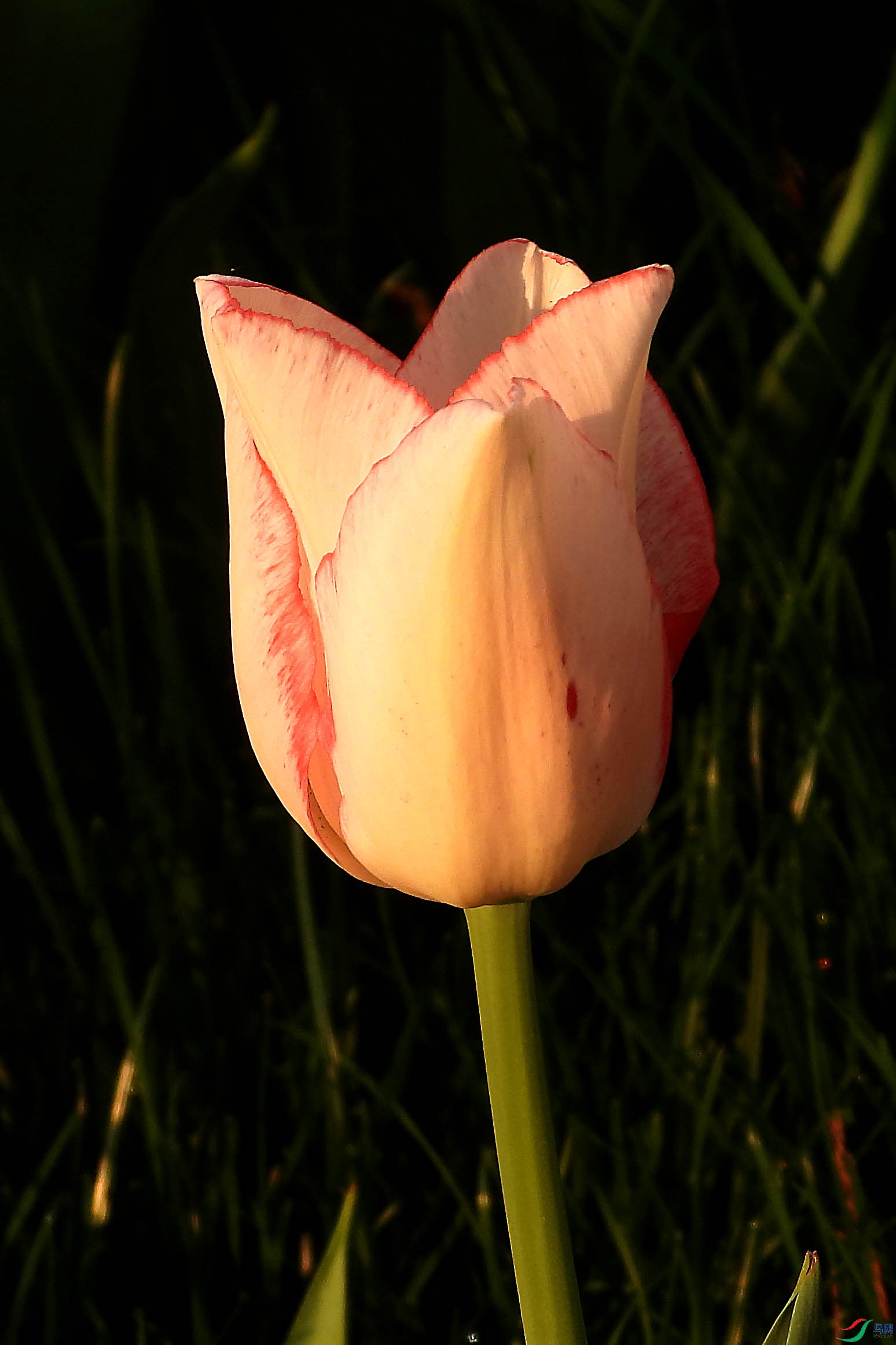 DSCN5340.JPG