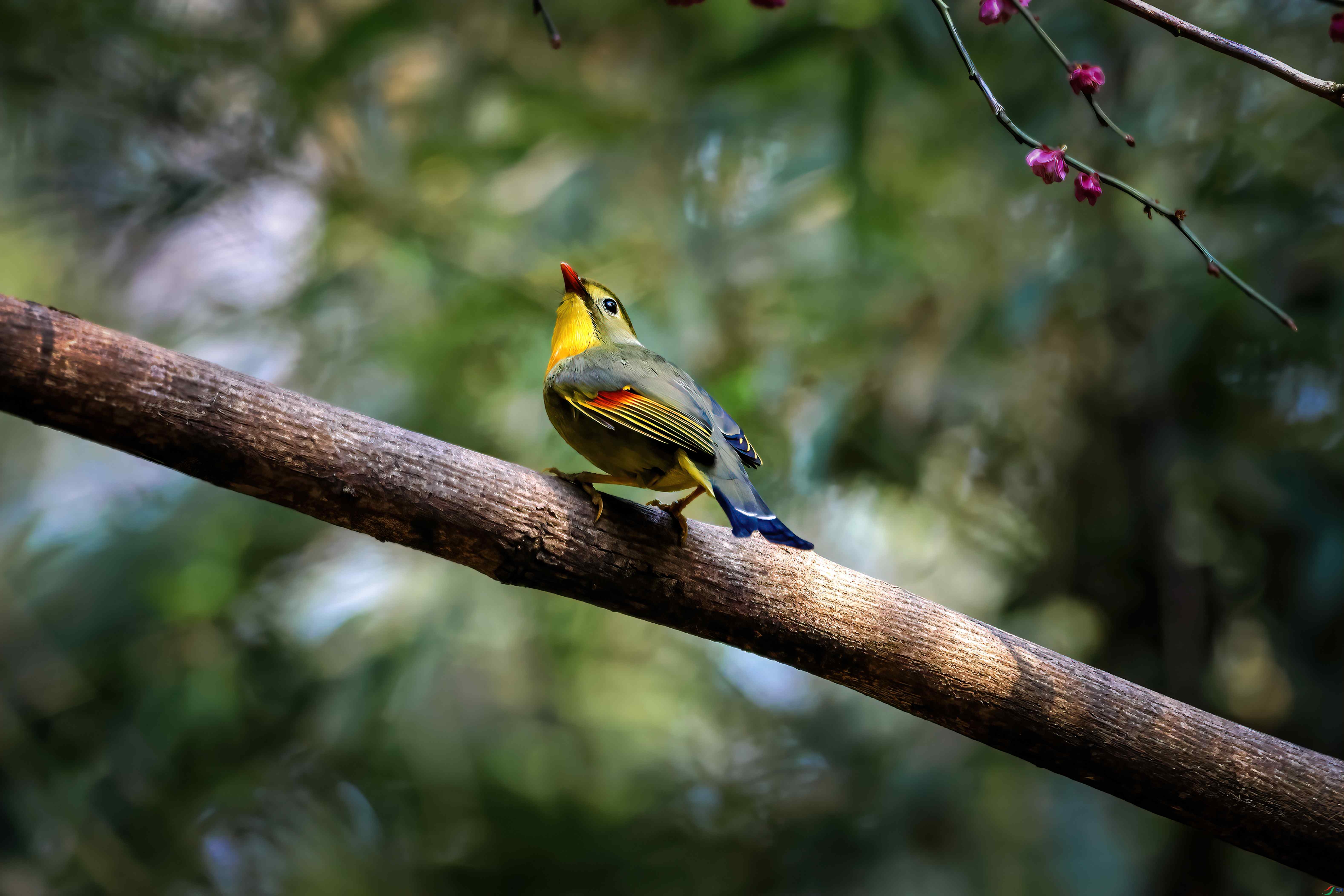 ������˼��