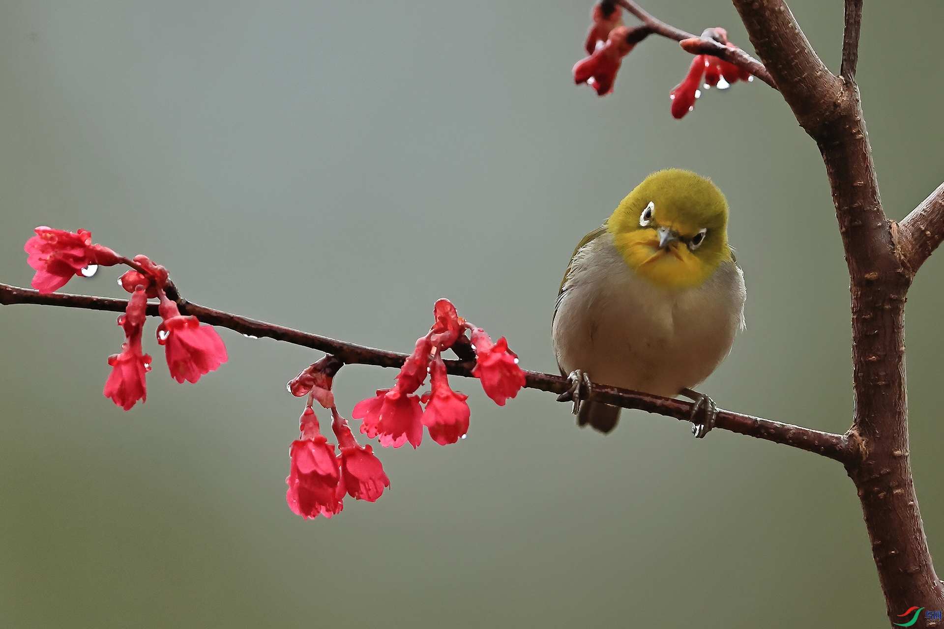 A56I1619 ˼����������������1920.jpg