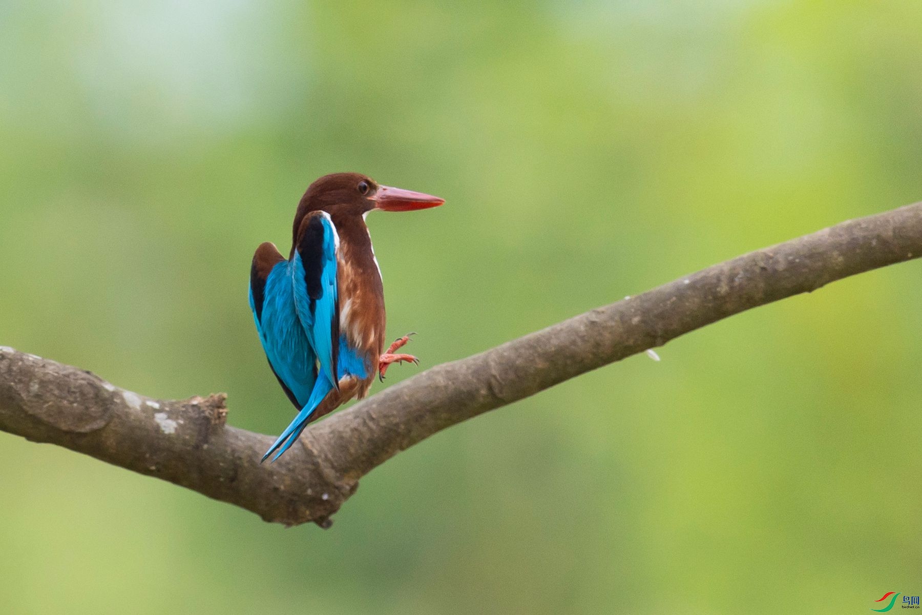 �������