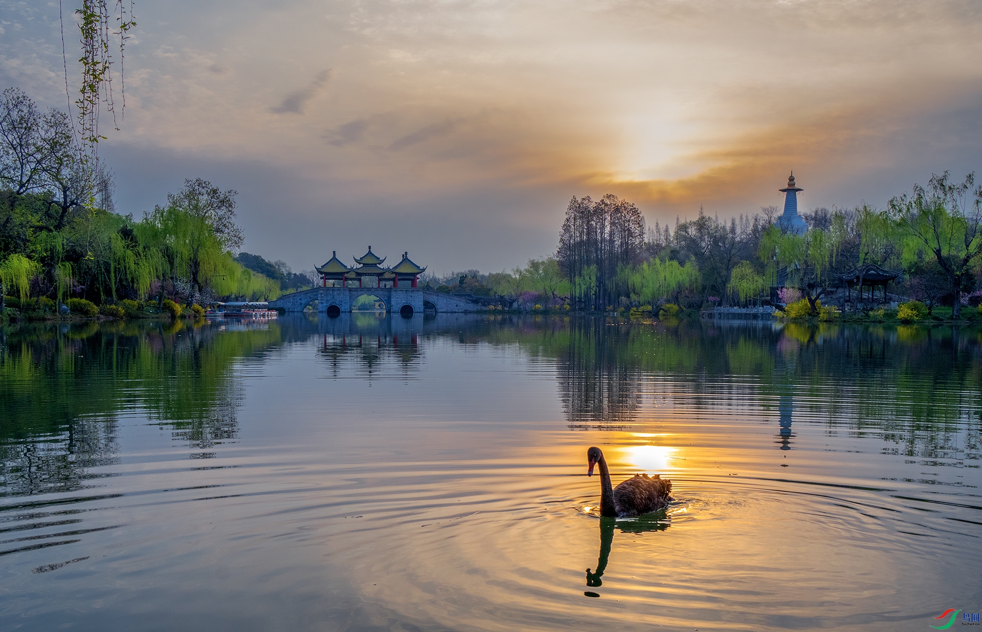 DSC_2504 - �ճ������� - aaa.jpg