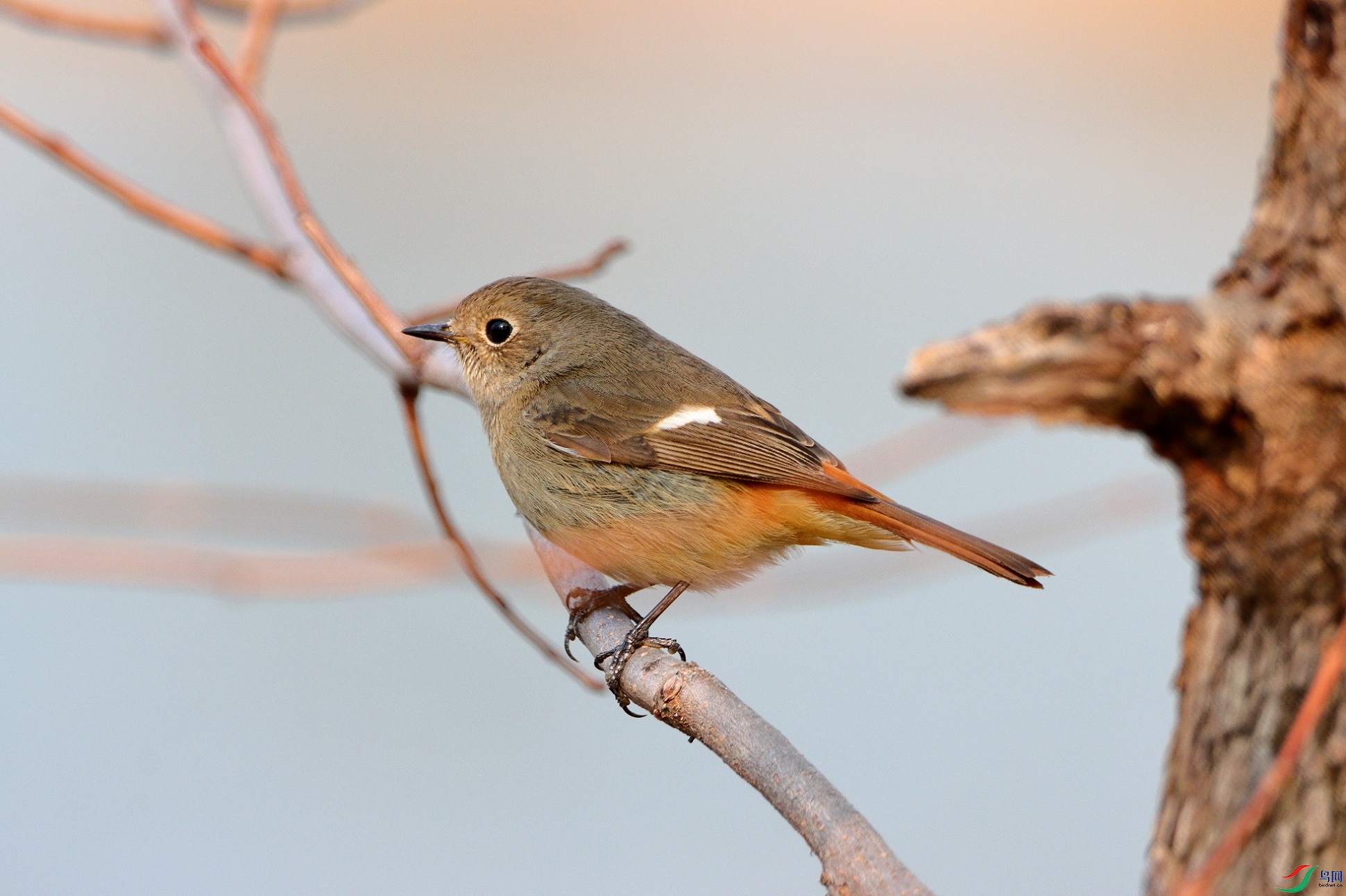 IMG_3027a1.jpg