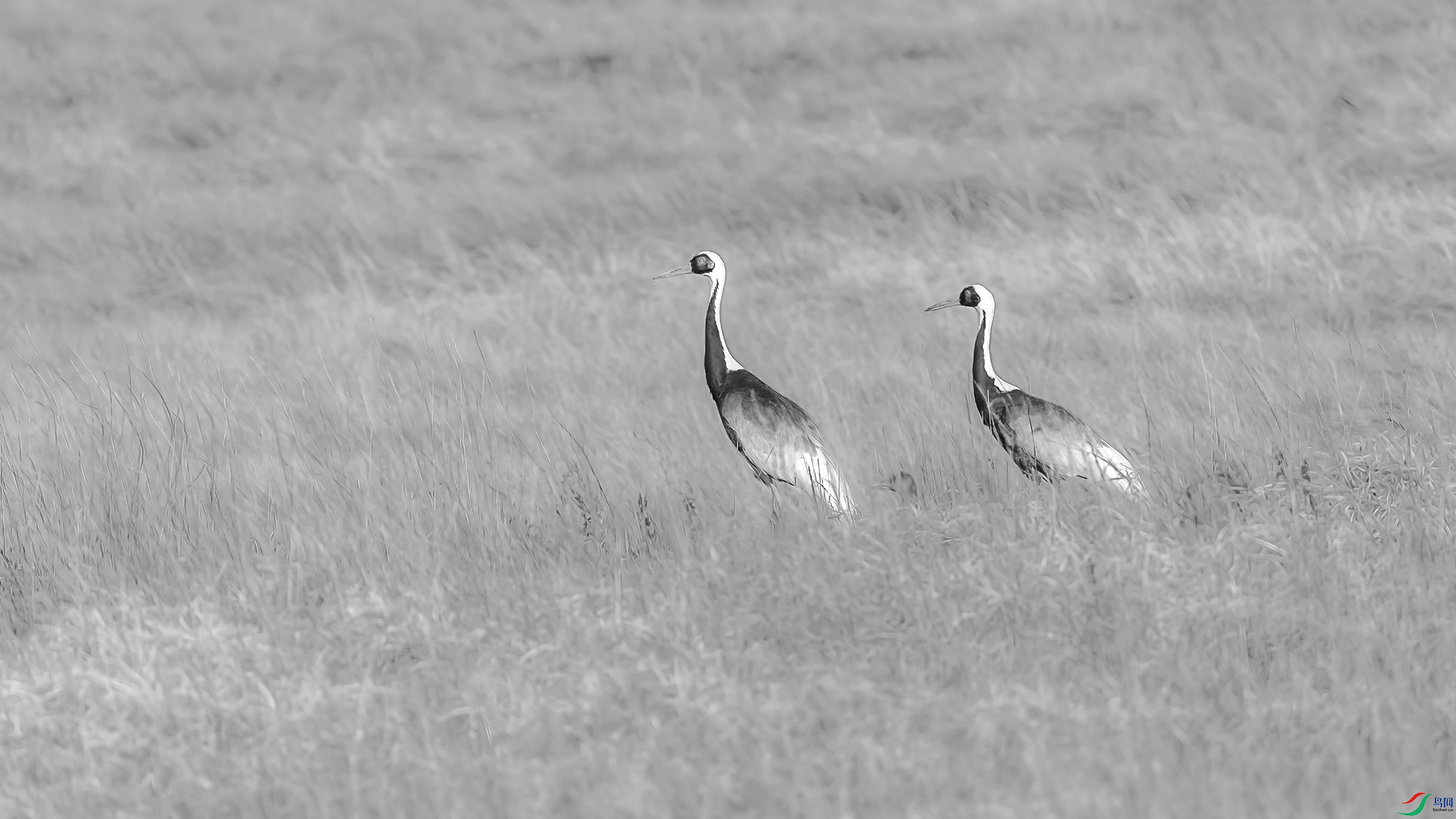 AE1V3394 ����.jpg