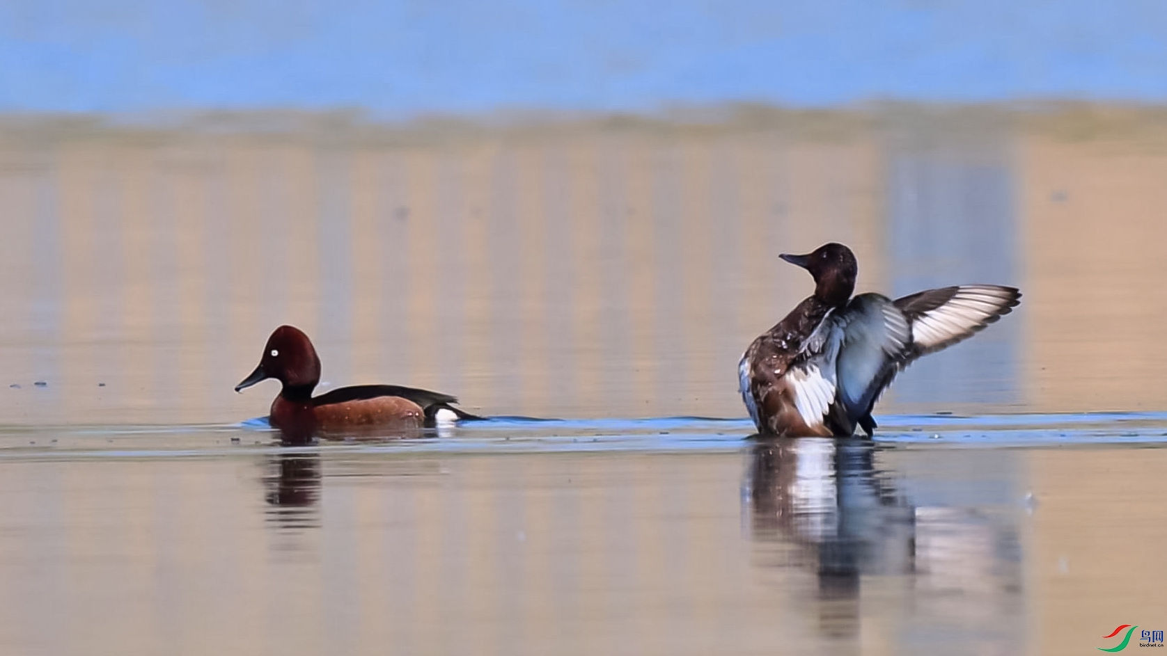 ���¾���·-���� ����.jpg