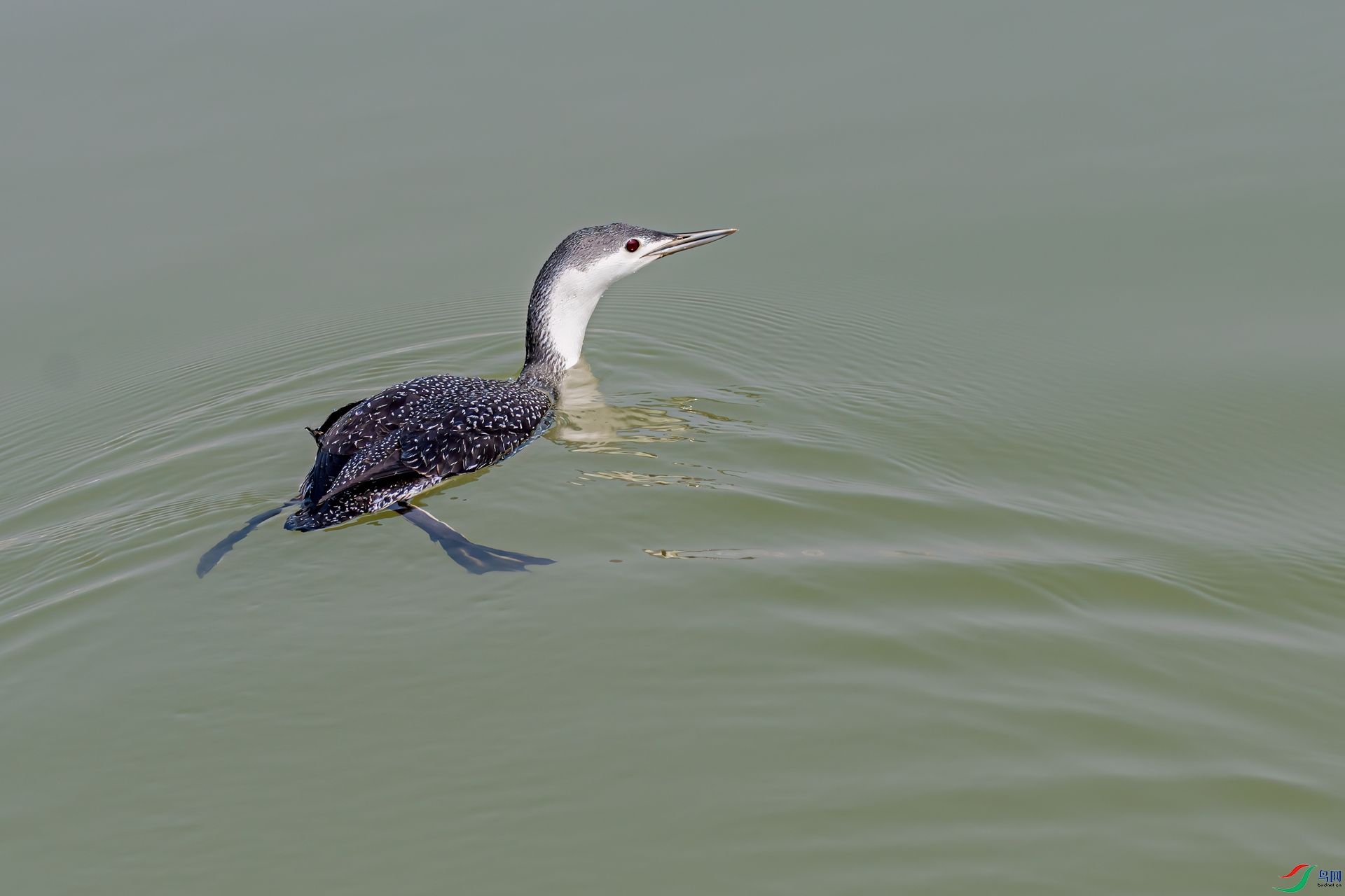 DSC_5906-11.jpg