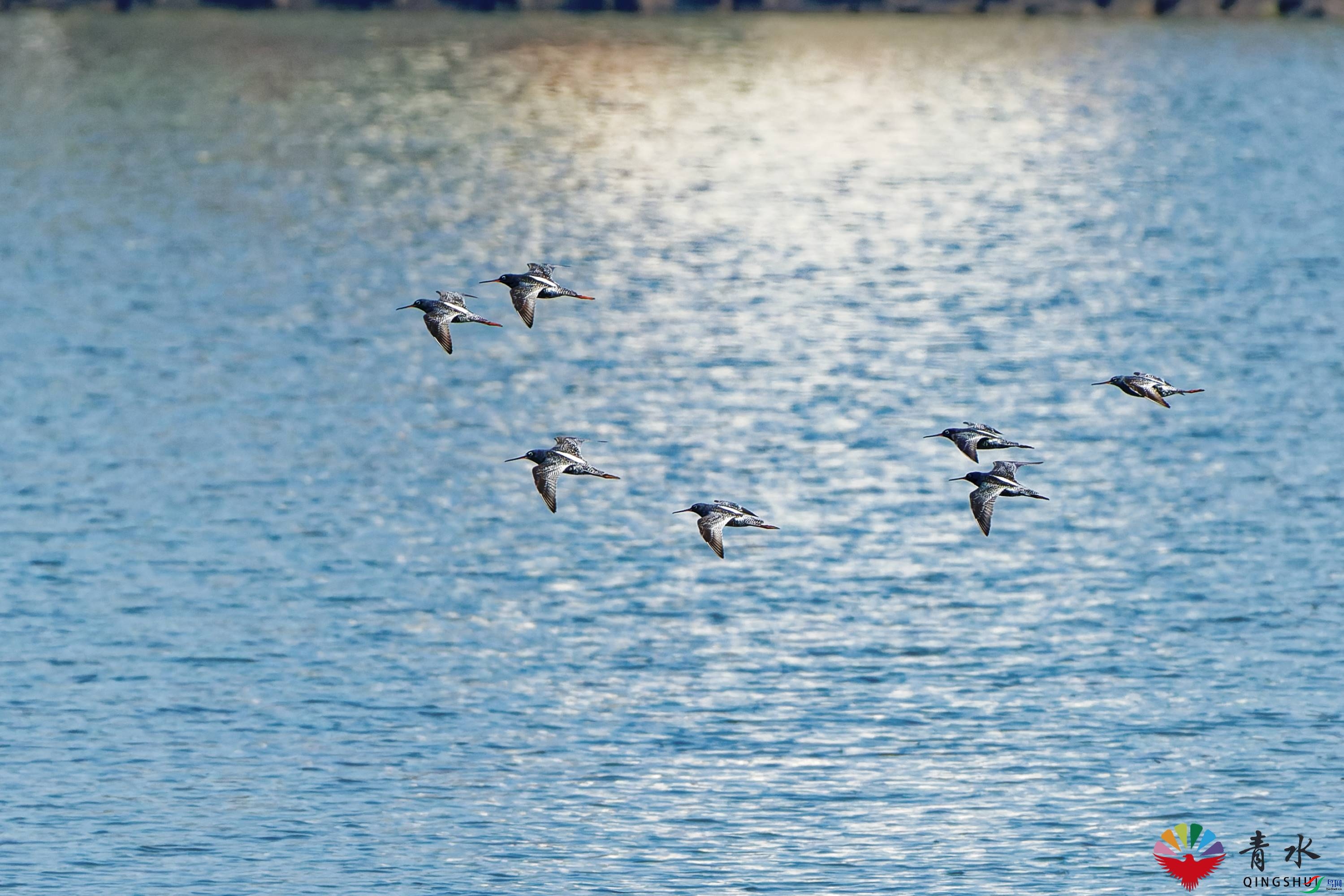 DSC01794_DxO.jpg
