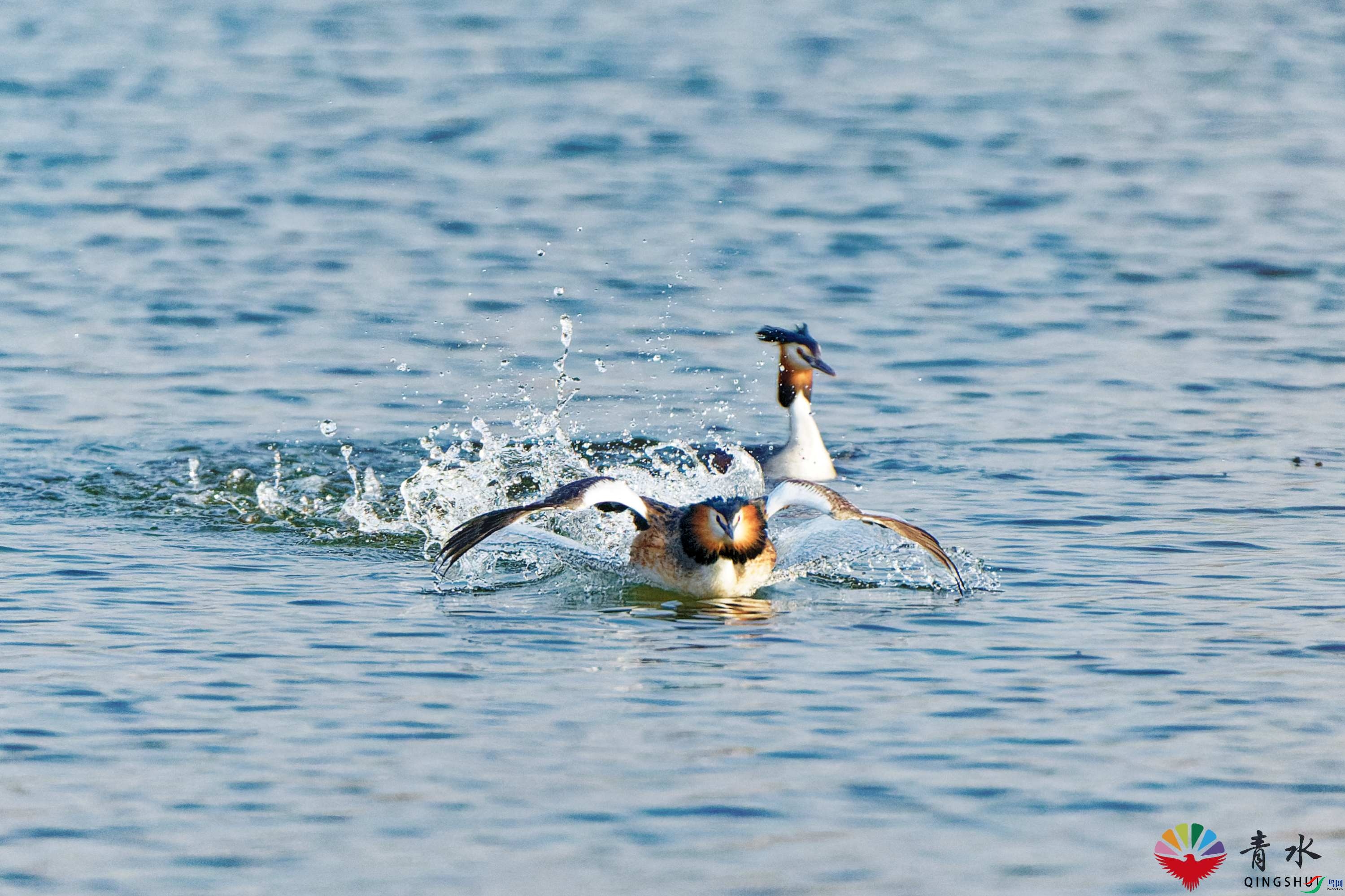 DSC05592_DxO_1.jpg